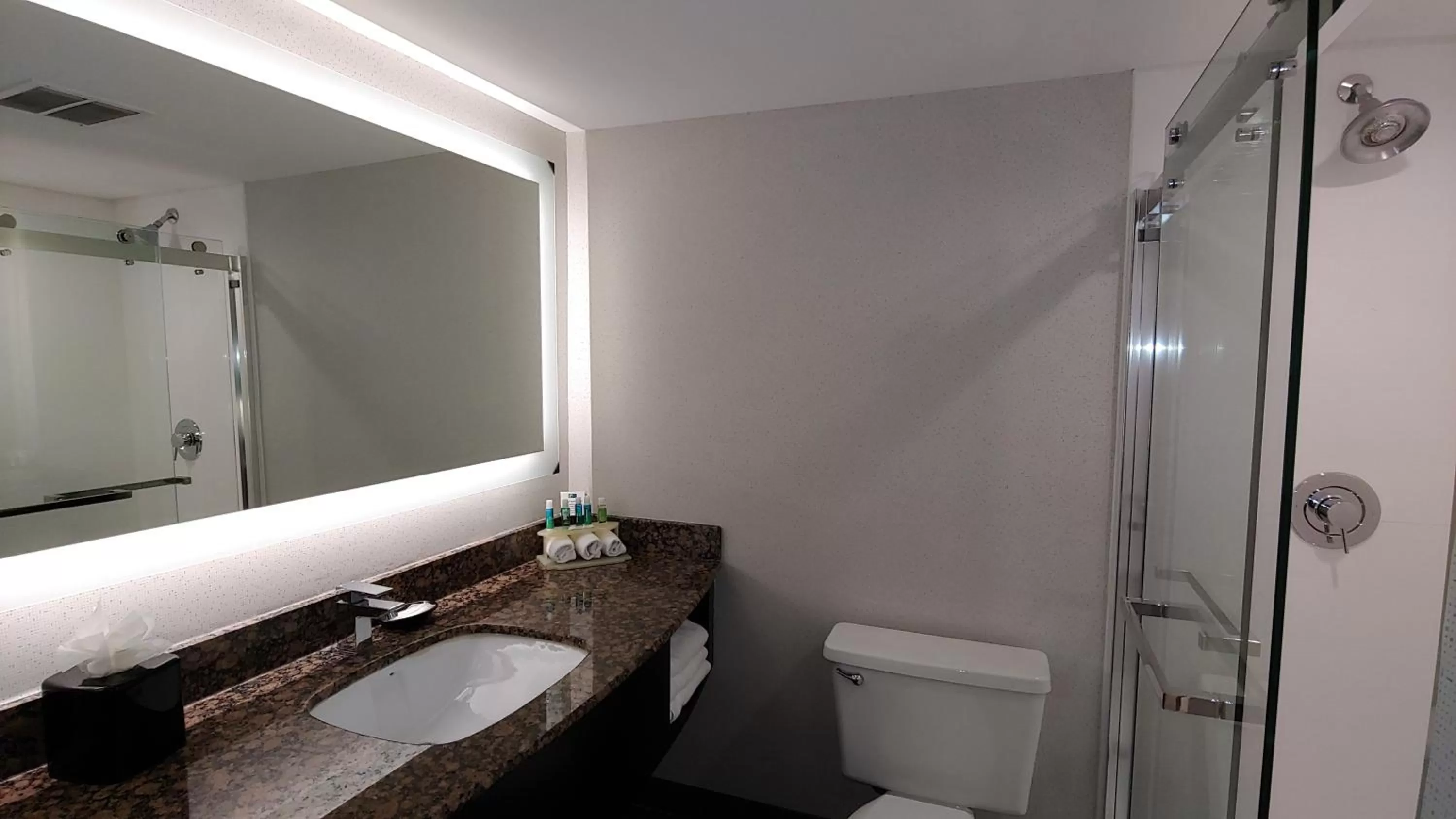 Bathroom in Holiday Inn Express Schaumburg-Rolling Meadows by IHG