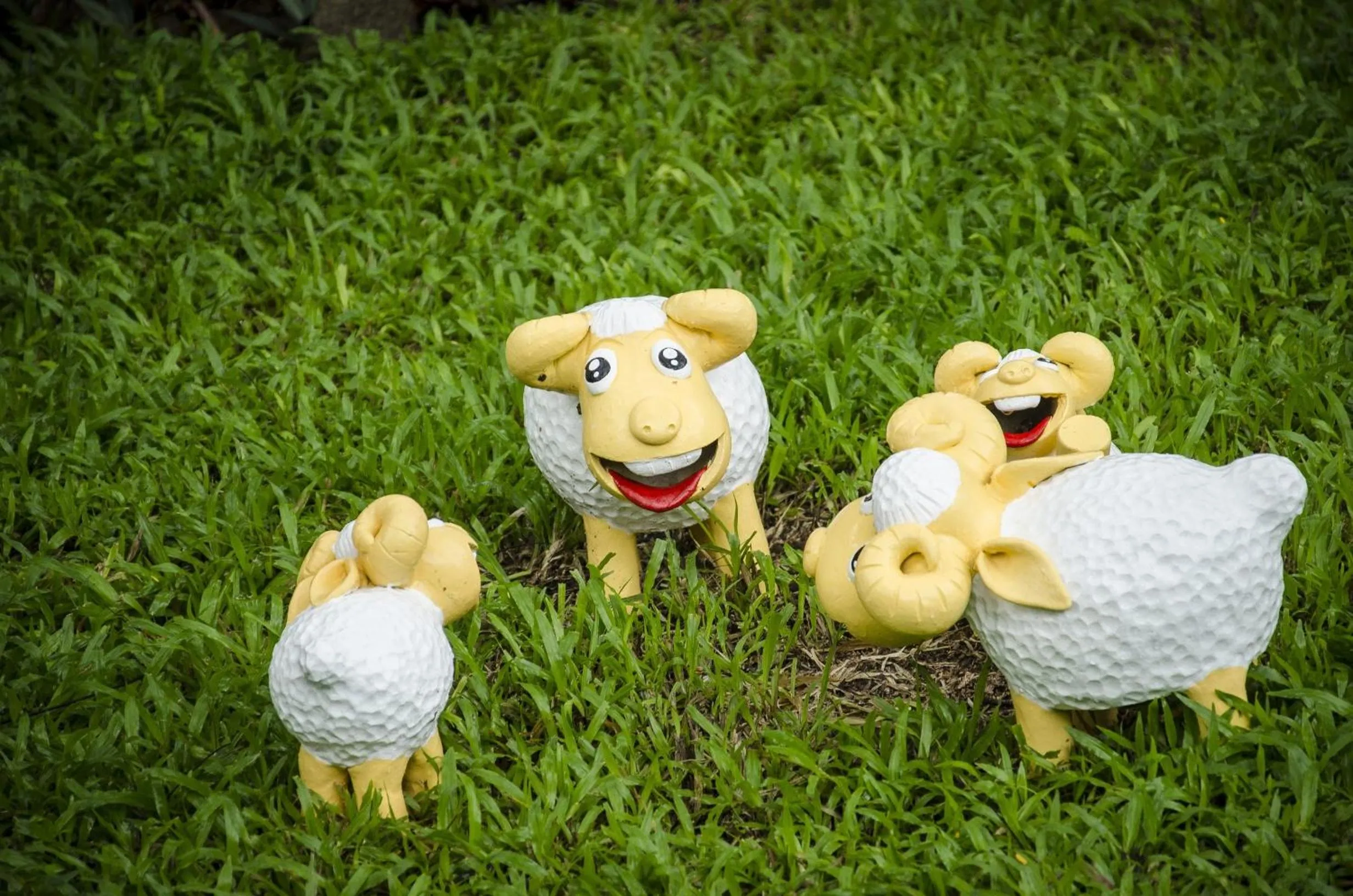 Natural landscape in The Sylvana Pai