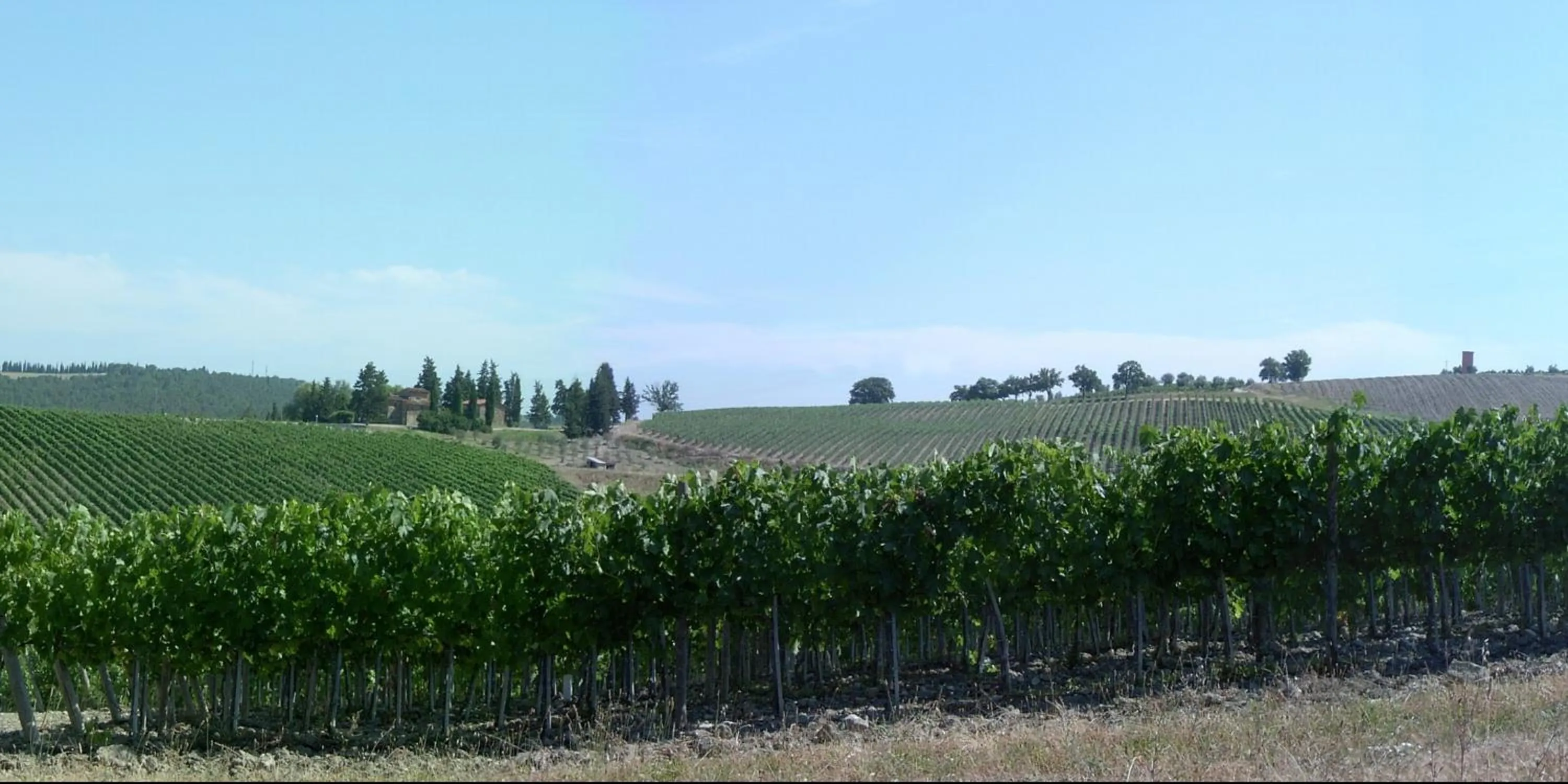 Natural landscape in Residence Casprini da Omero