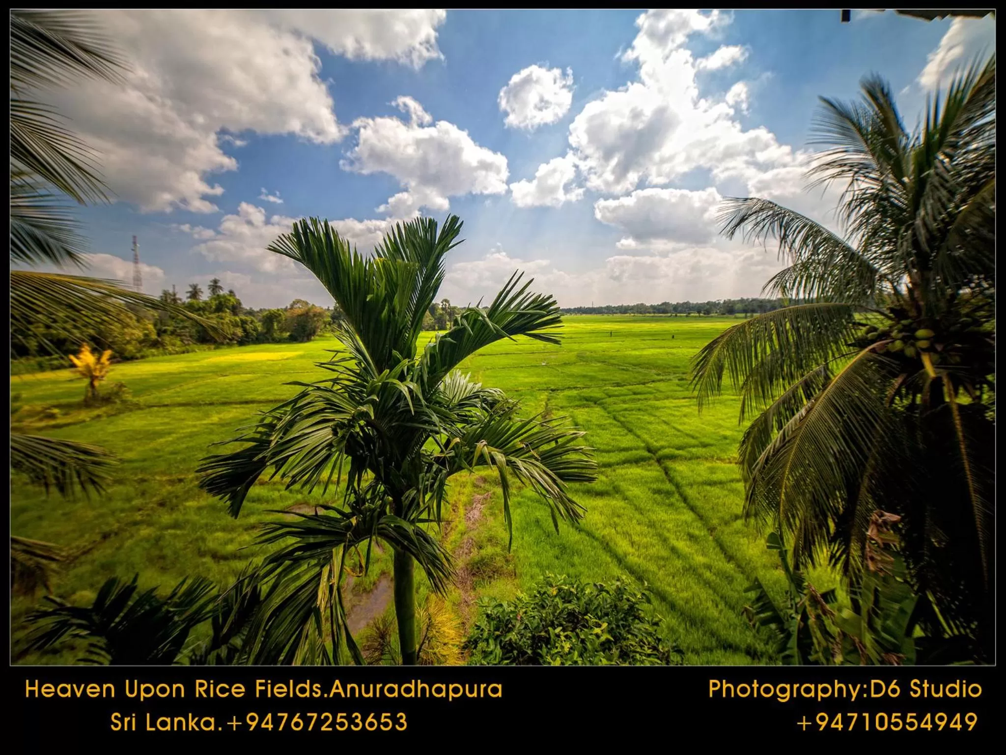 Natural landscape in Heaven Upon Rice Fields
