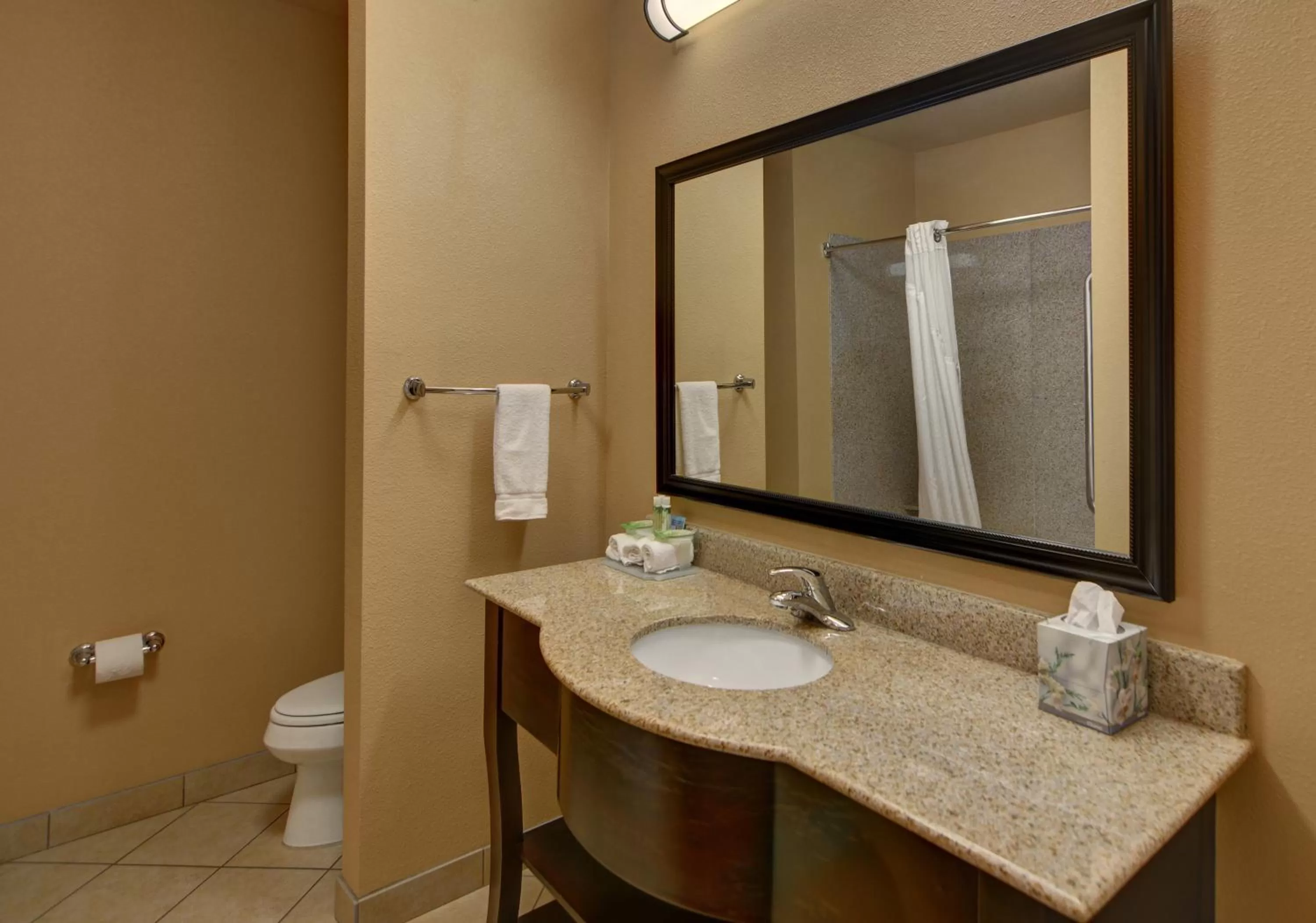 Bathroom in Holiday Inn Express Tyler South by IHG