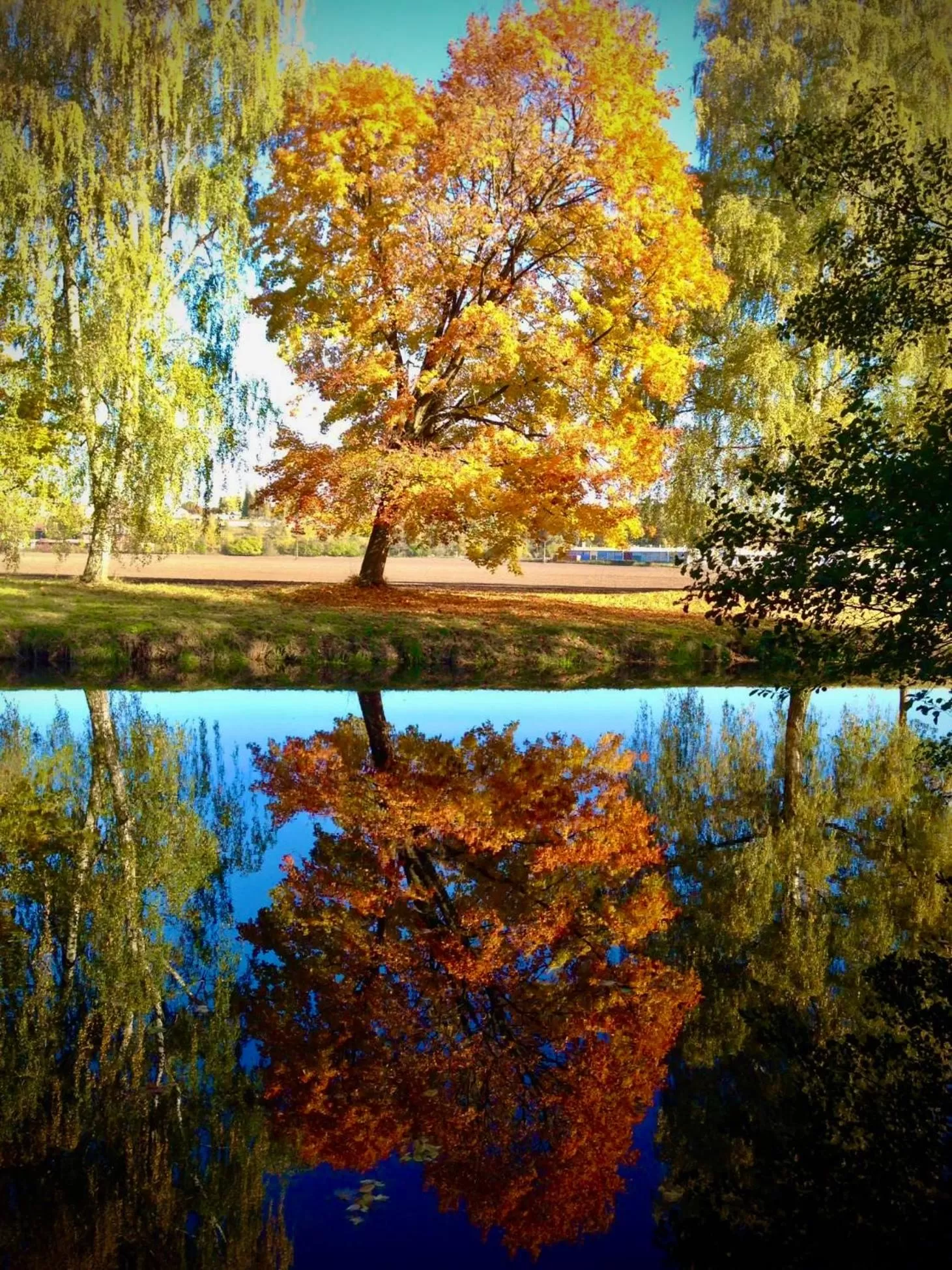 HARABURDI® Recyclart Hotel
