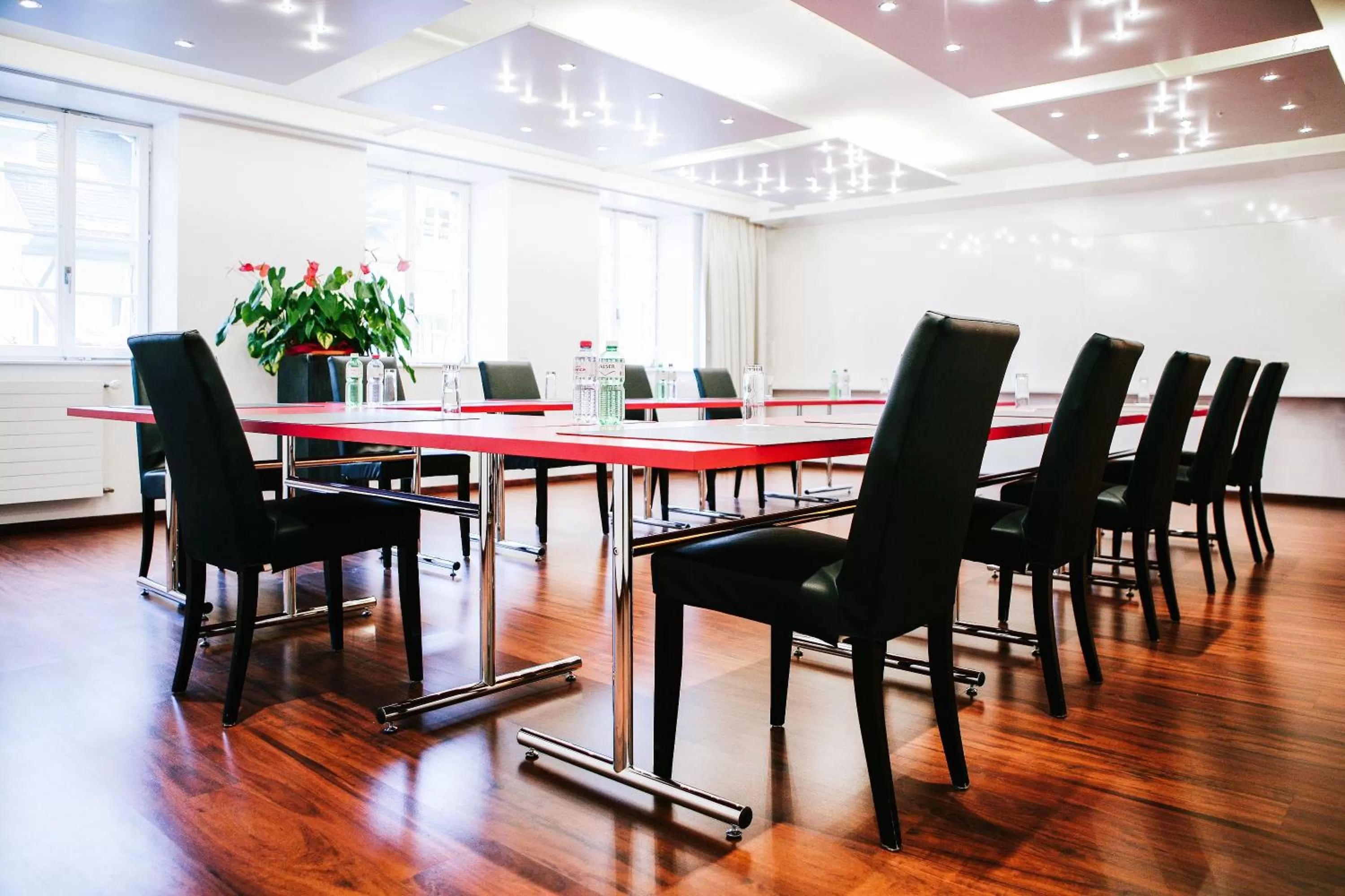 Business facilities in Hotel Murtenhof & Krone