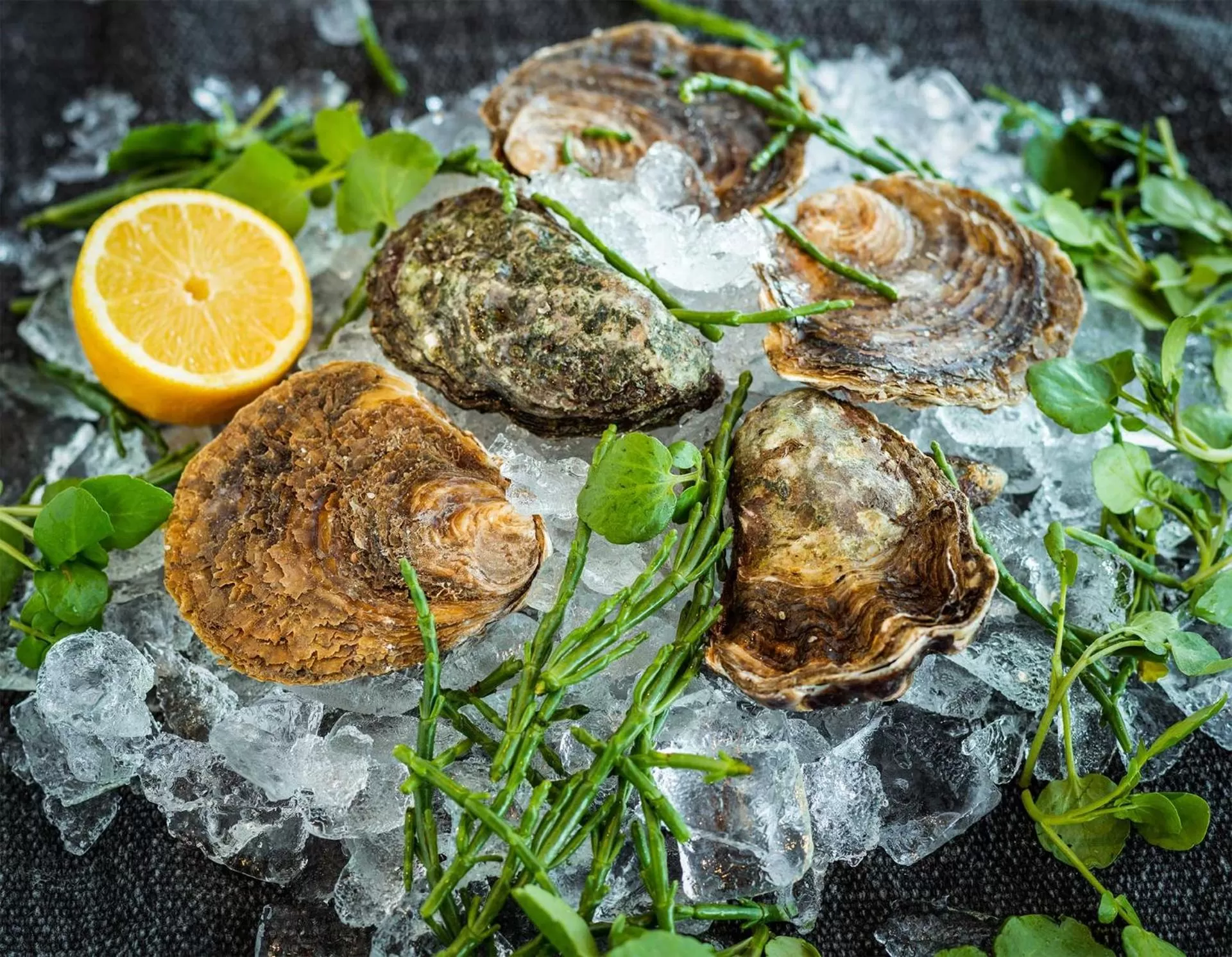 Restaurant/places to eat in The Brudenell