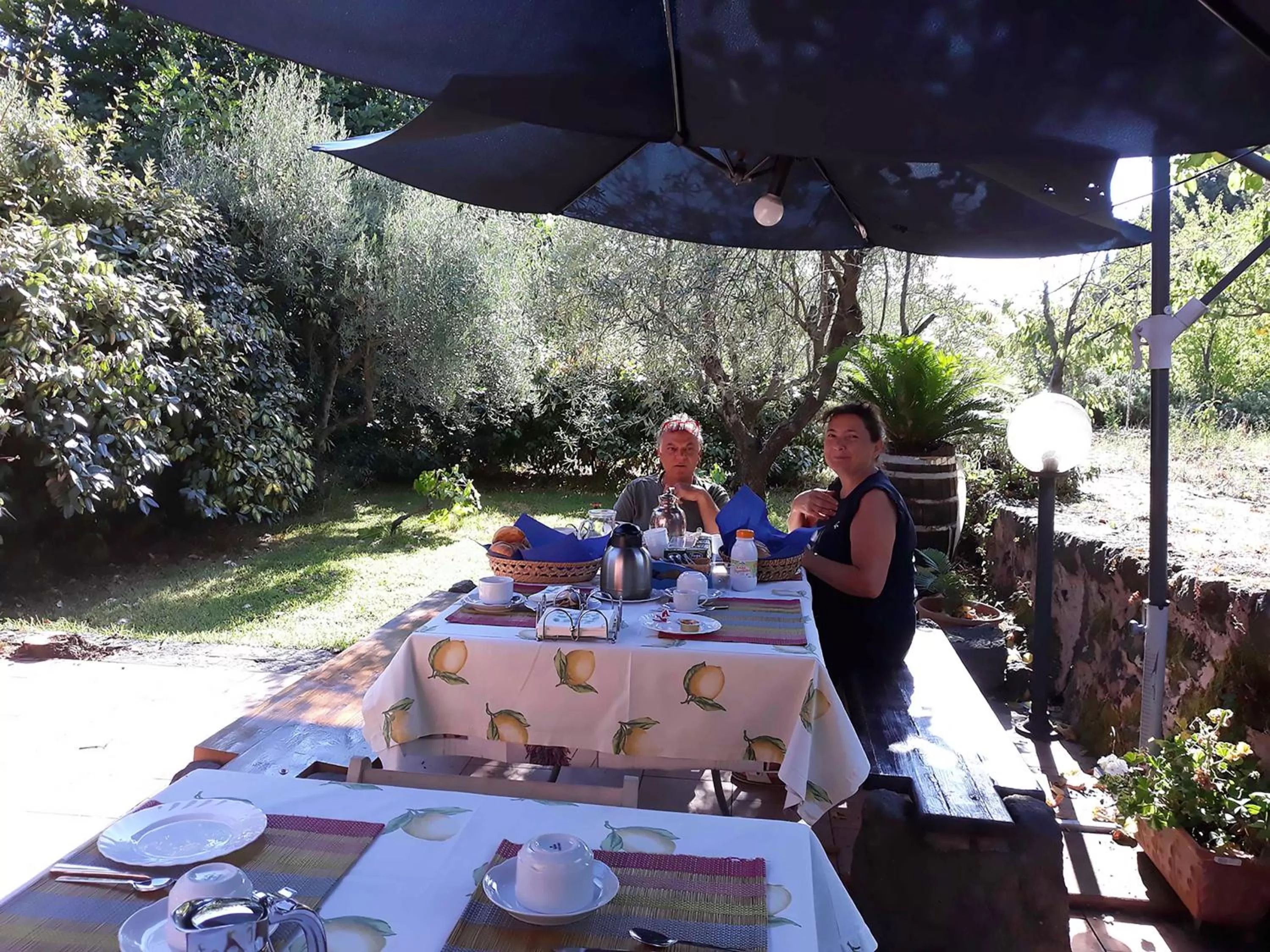 Garden view in Case Zuccaro