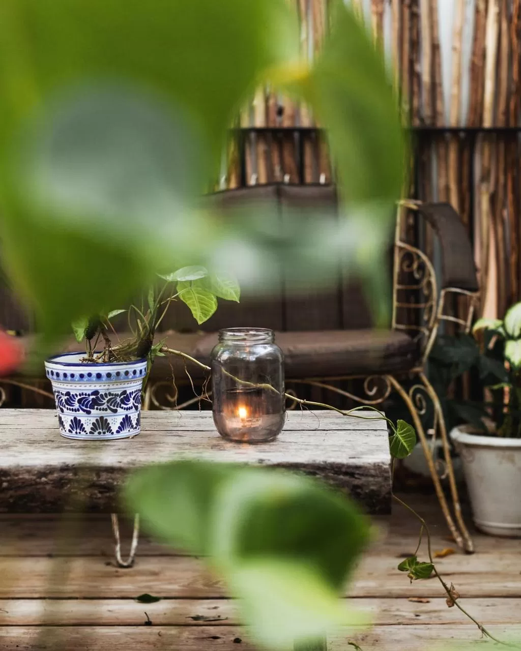 Garden in Hotel La Semilla a Member of Design Hotels