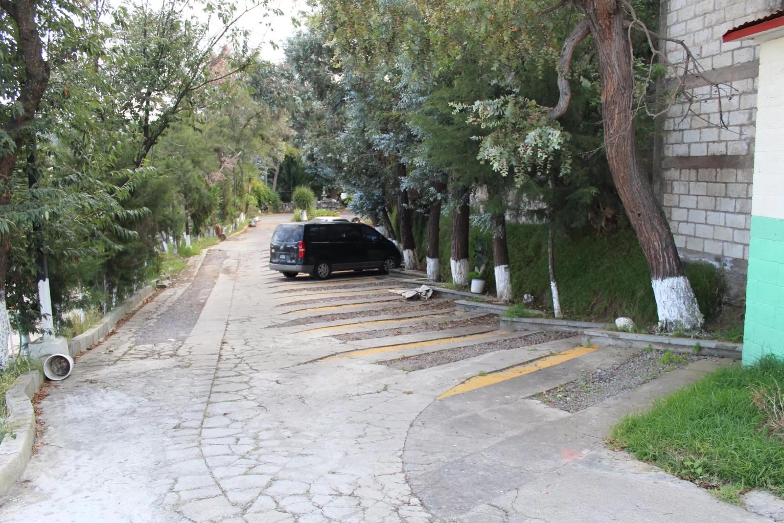 Property building in hotel kasa kamelot 2