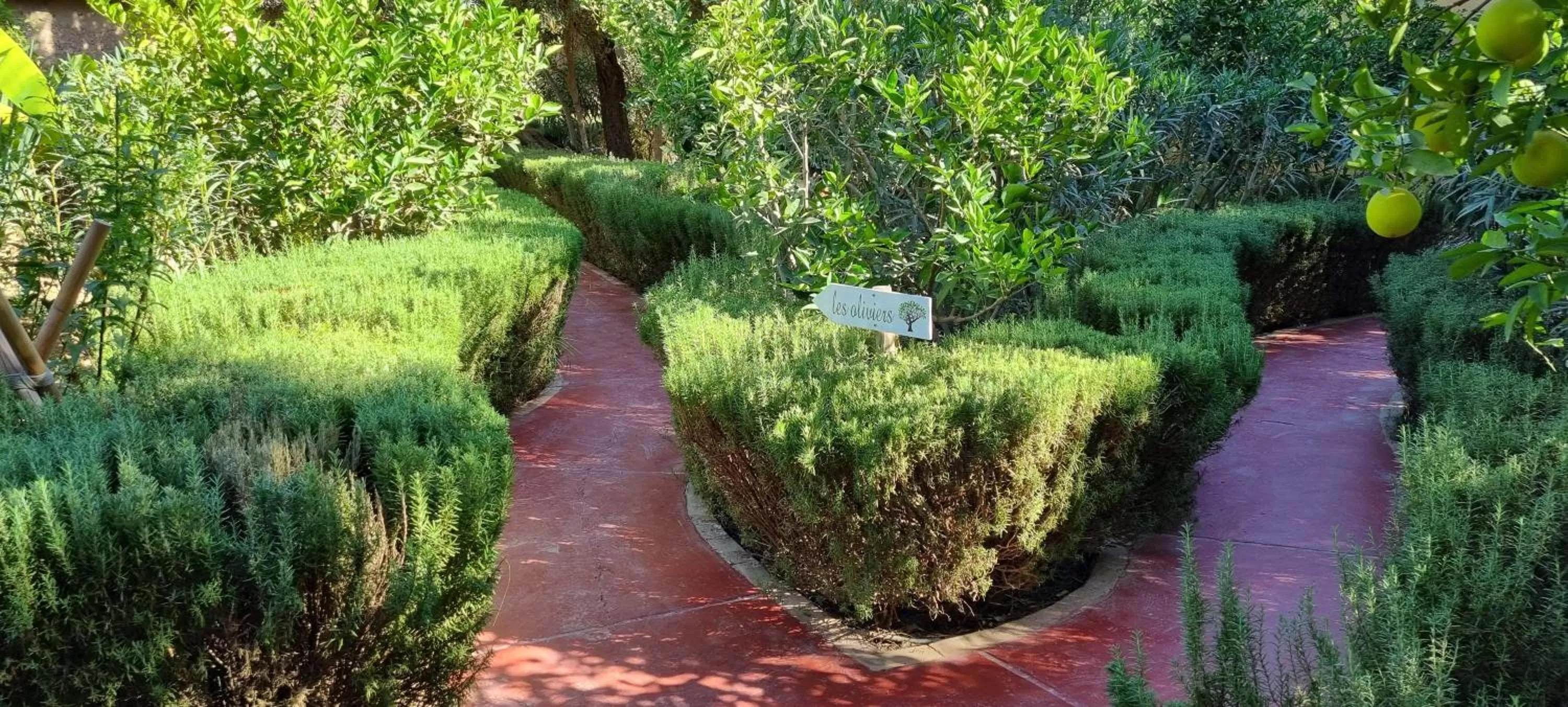 Natural Landscape in Les Trois Paons