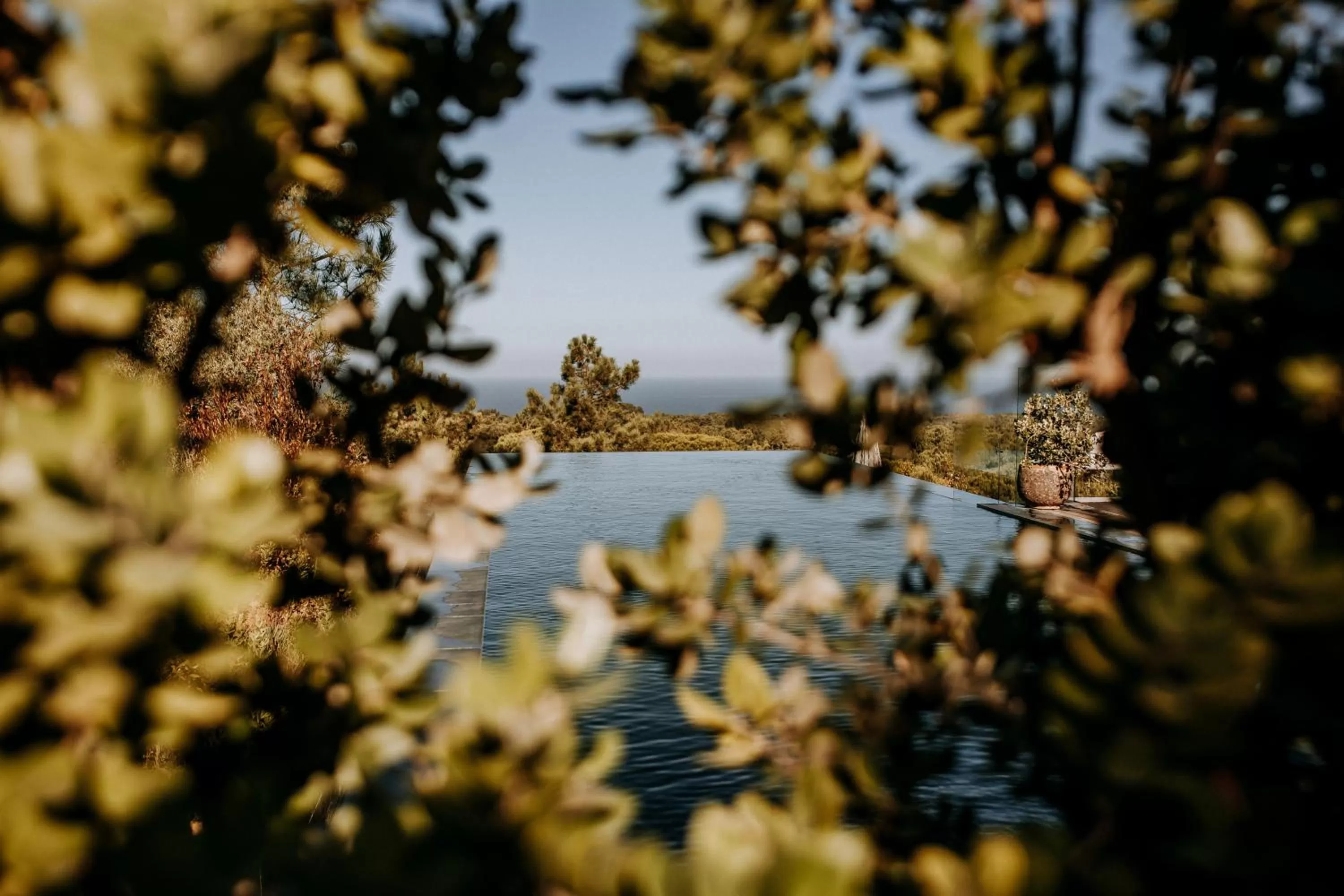 Swimming pool in Eco-lodge Villa Epicurea