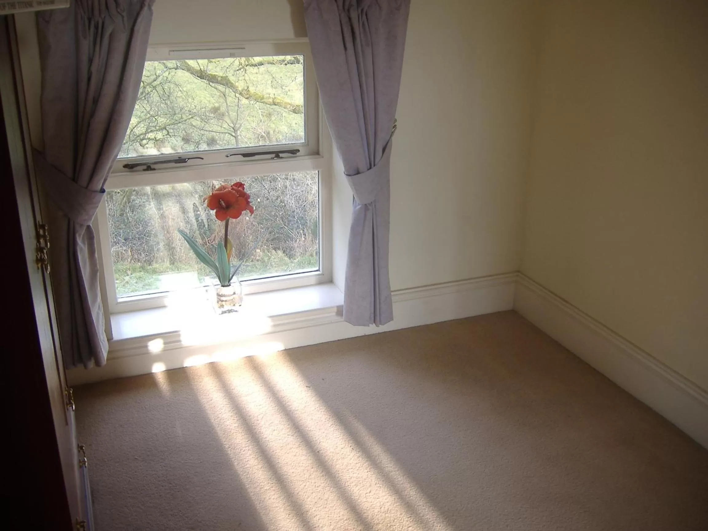 Property building in Bryncoch