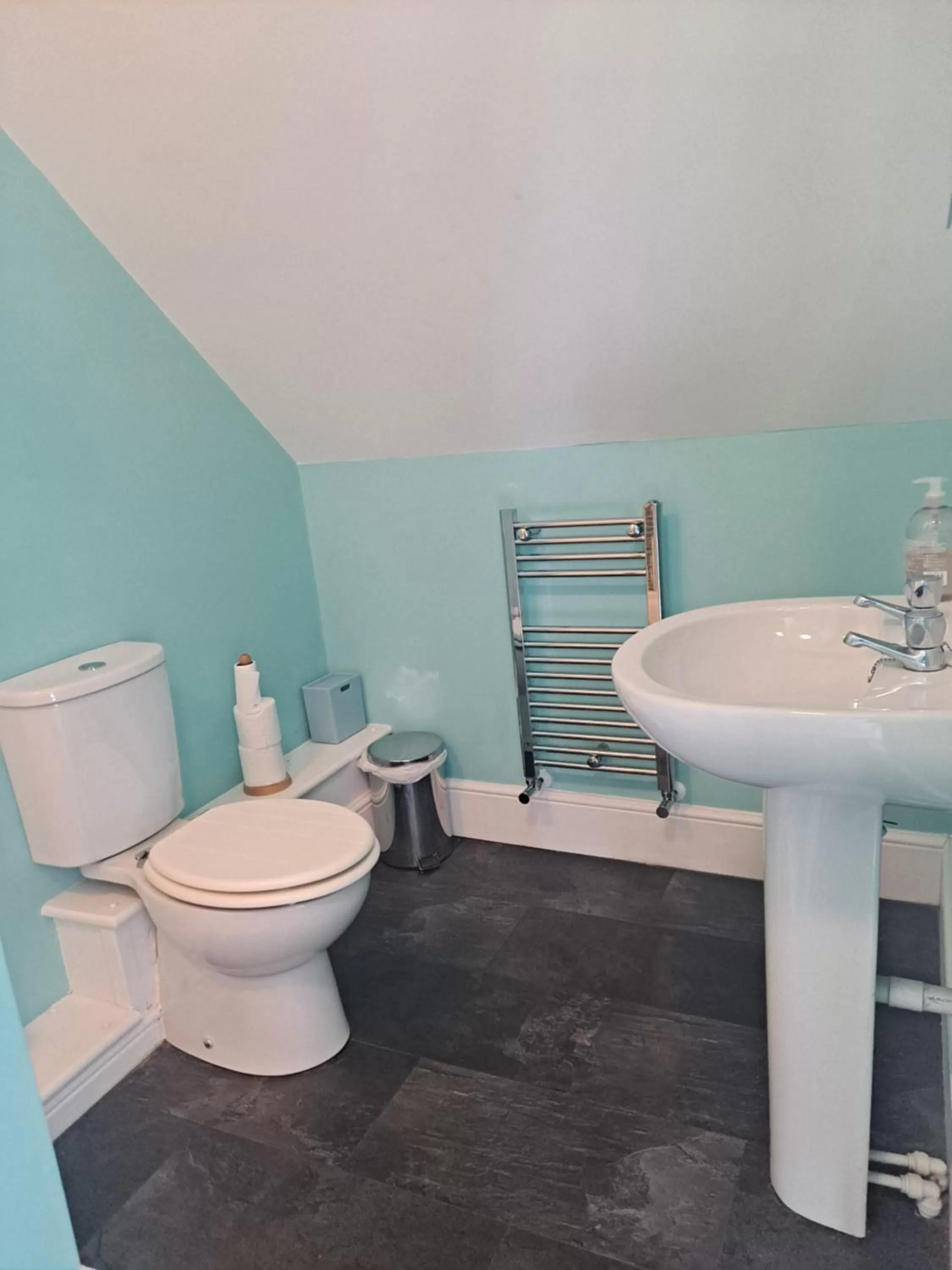 Bathroom in Pilgrims of the Goddess