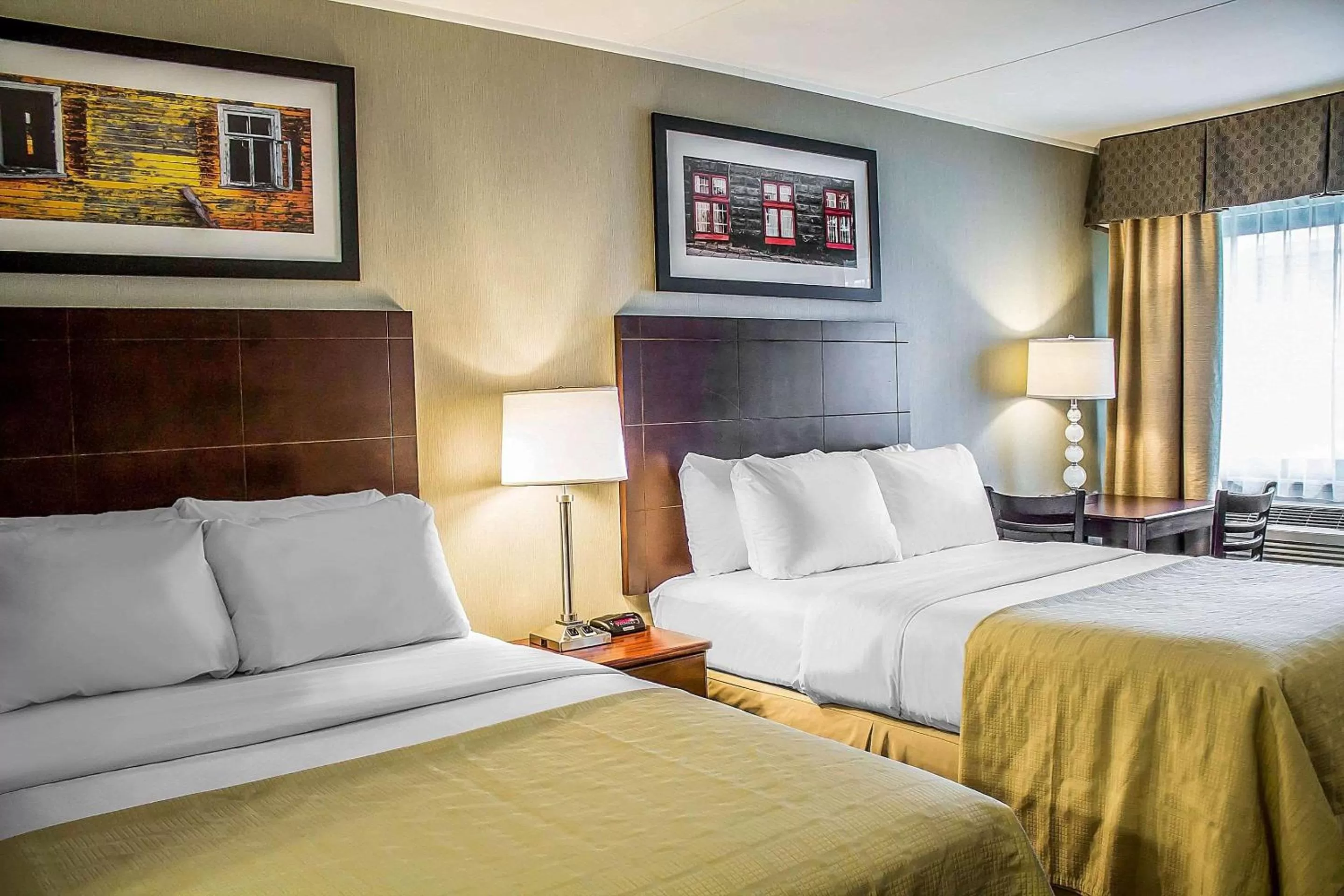 Photo of the whole room, Bed in Quality Inn Cambridge