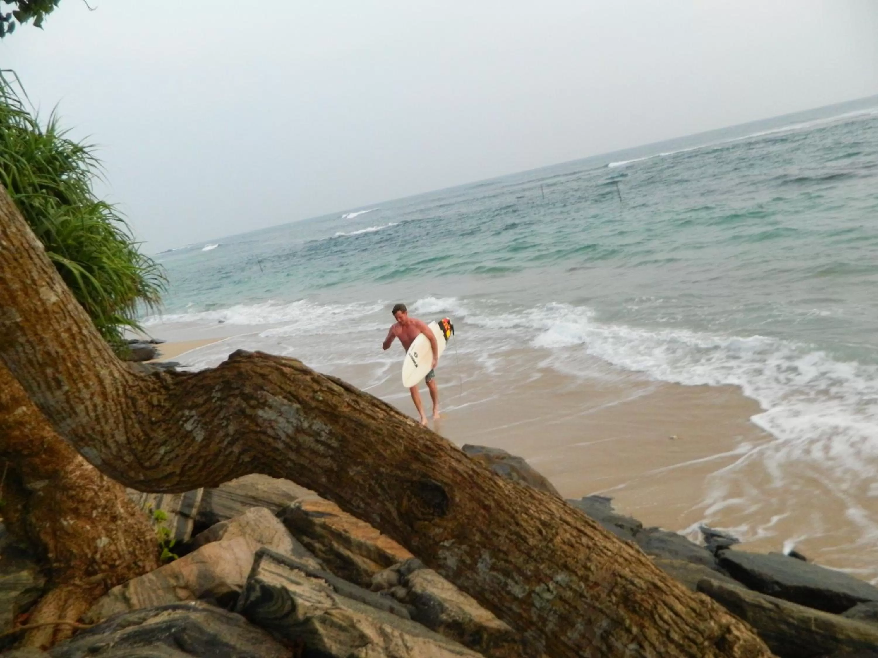 Sports in New Ocean Vibes