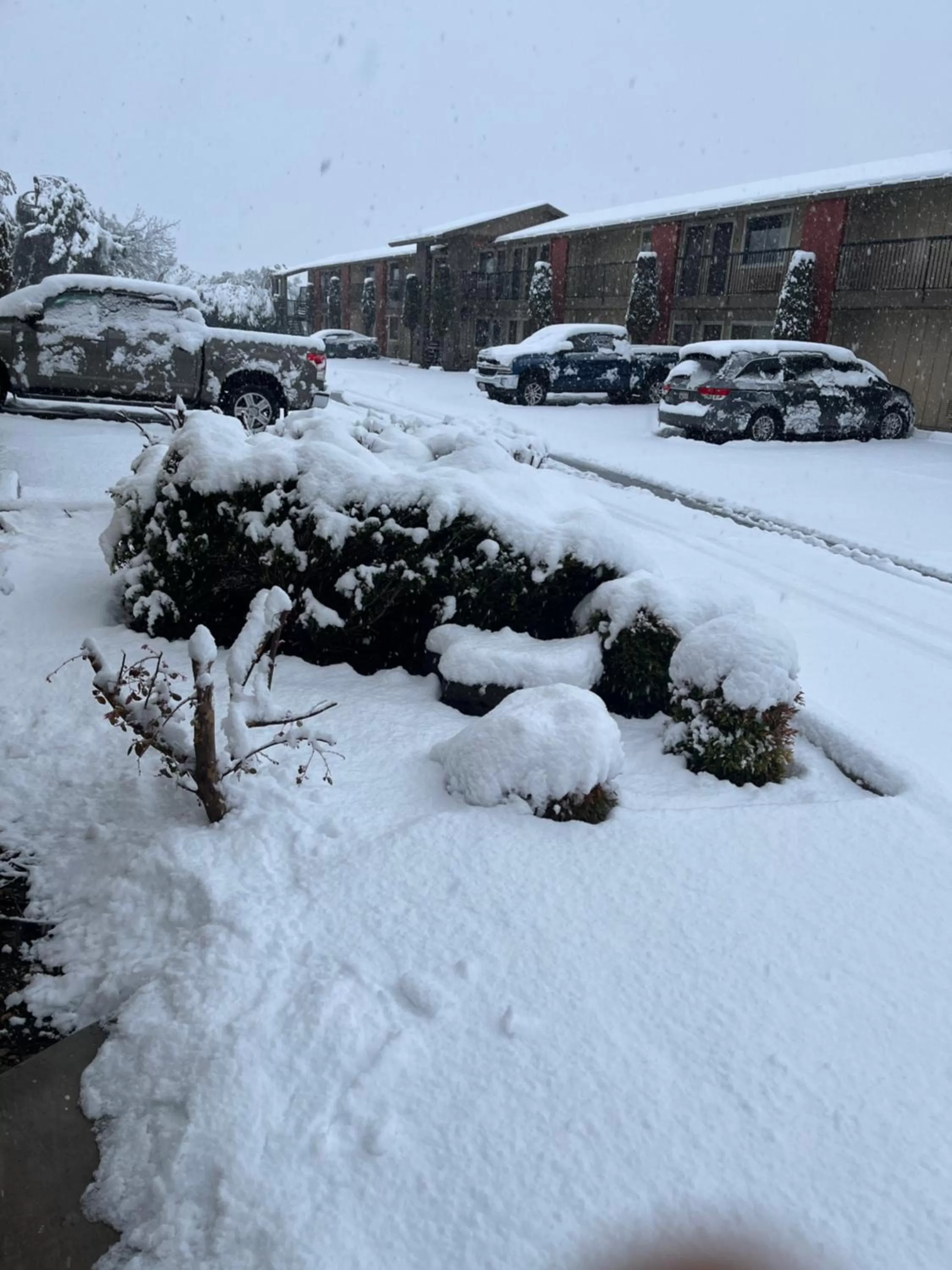 Property building in Super 8 by Wyndham Red Bluff