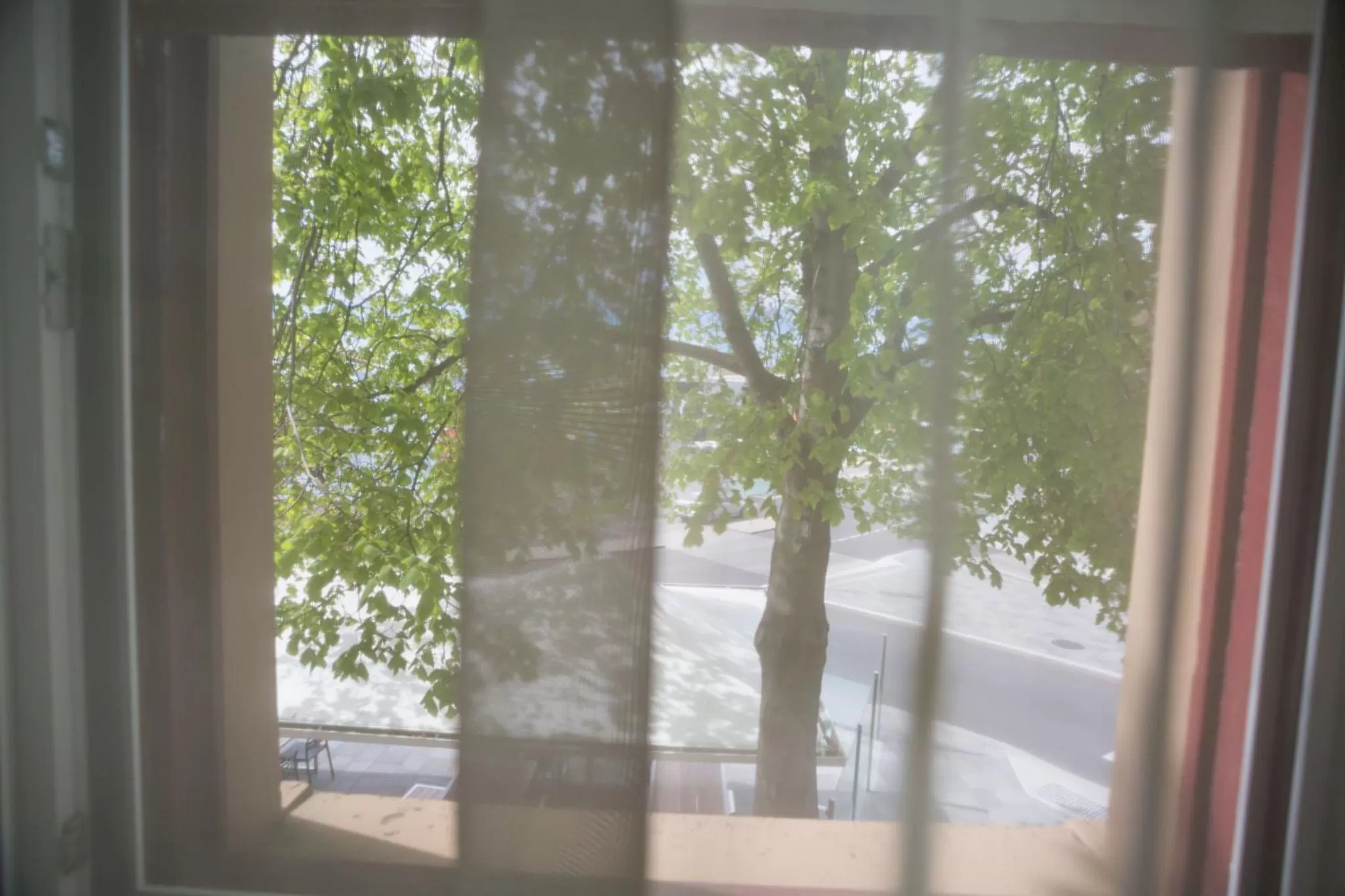 Street view in Customs House Hotel