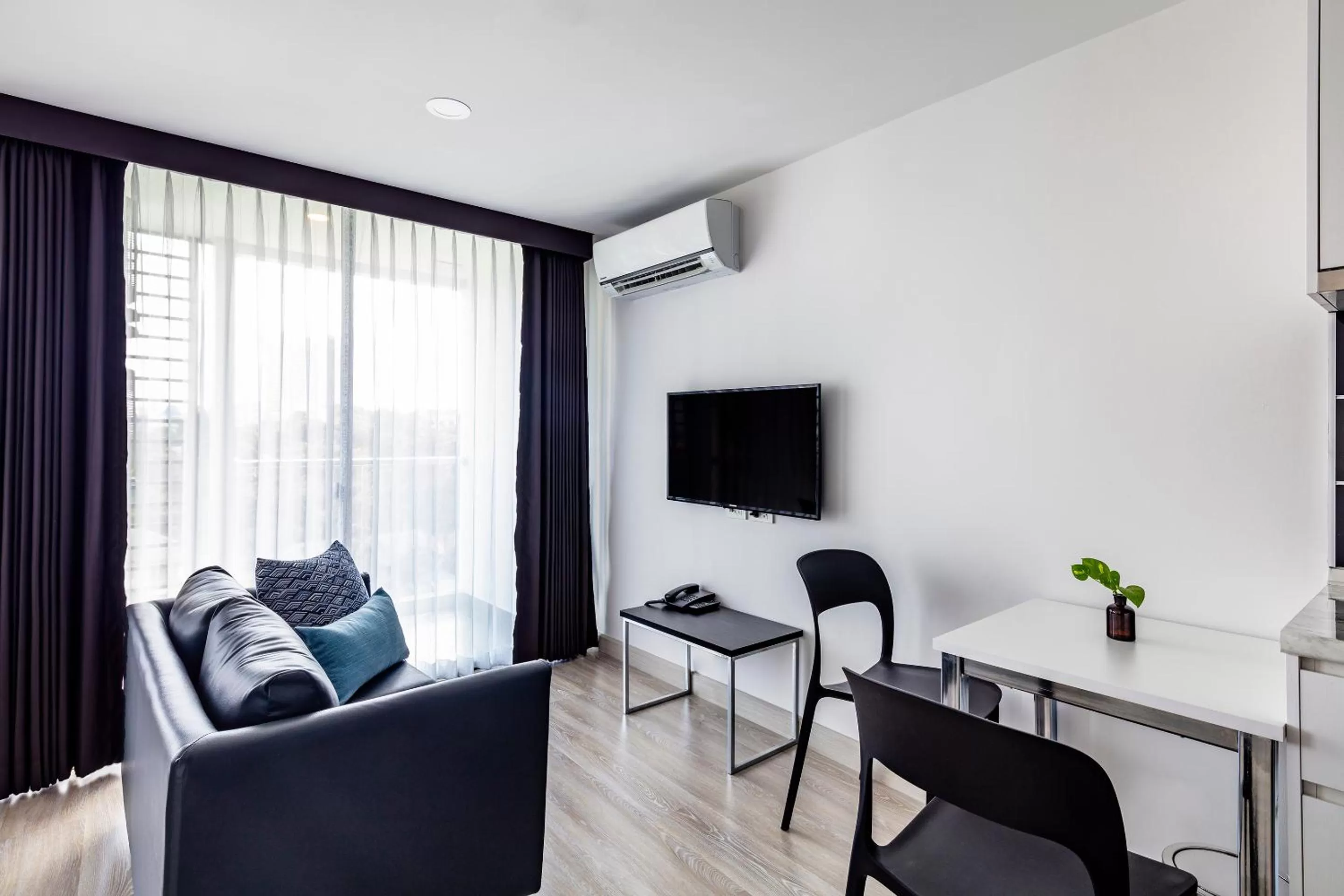 TV and multimedia in The Rizin