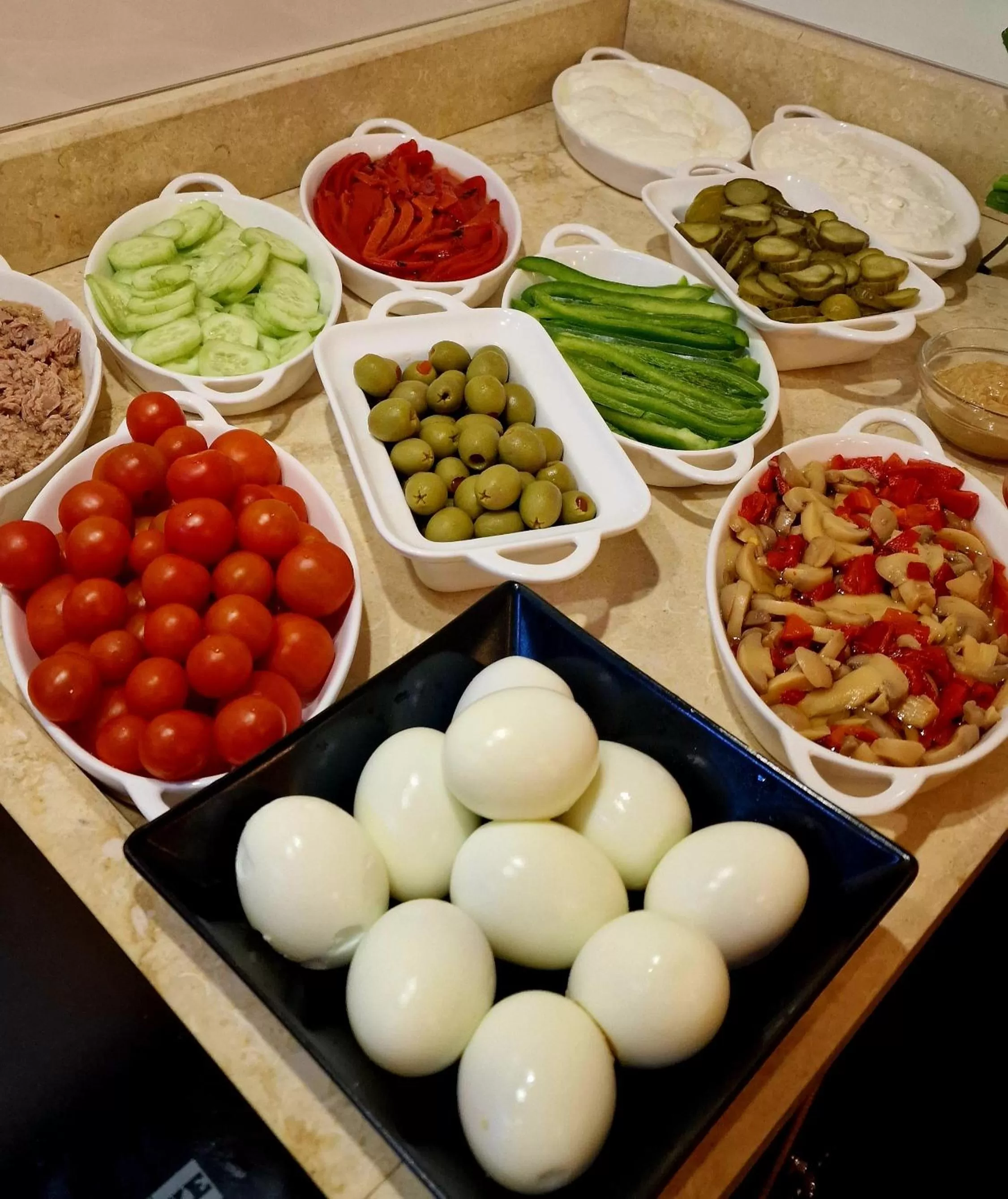 Arbia Dorka Heritage Palace