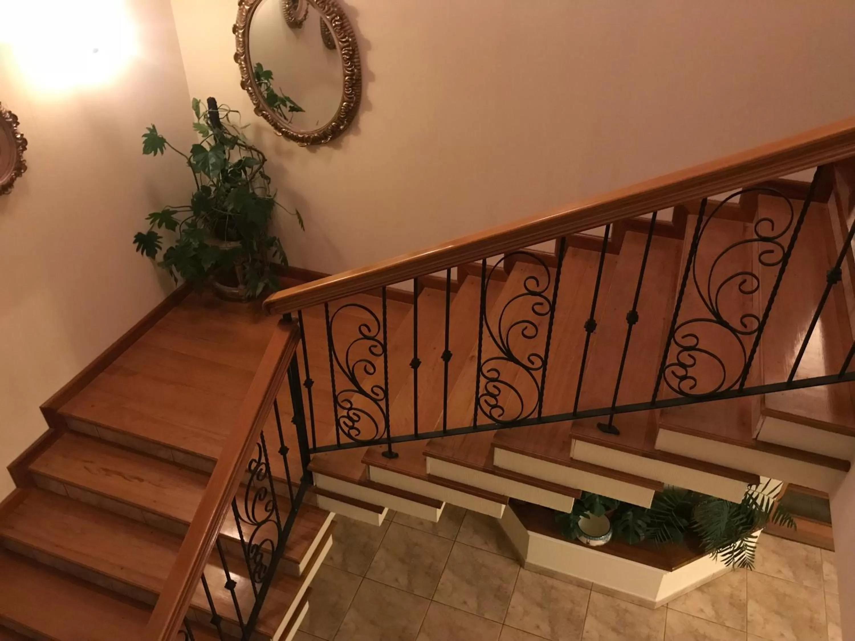 Balcony/Terrace in Hotel Belvedere