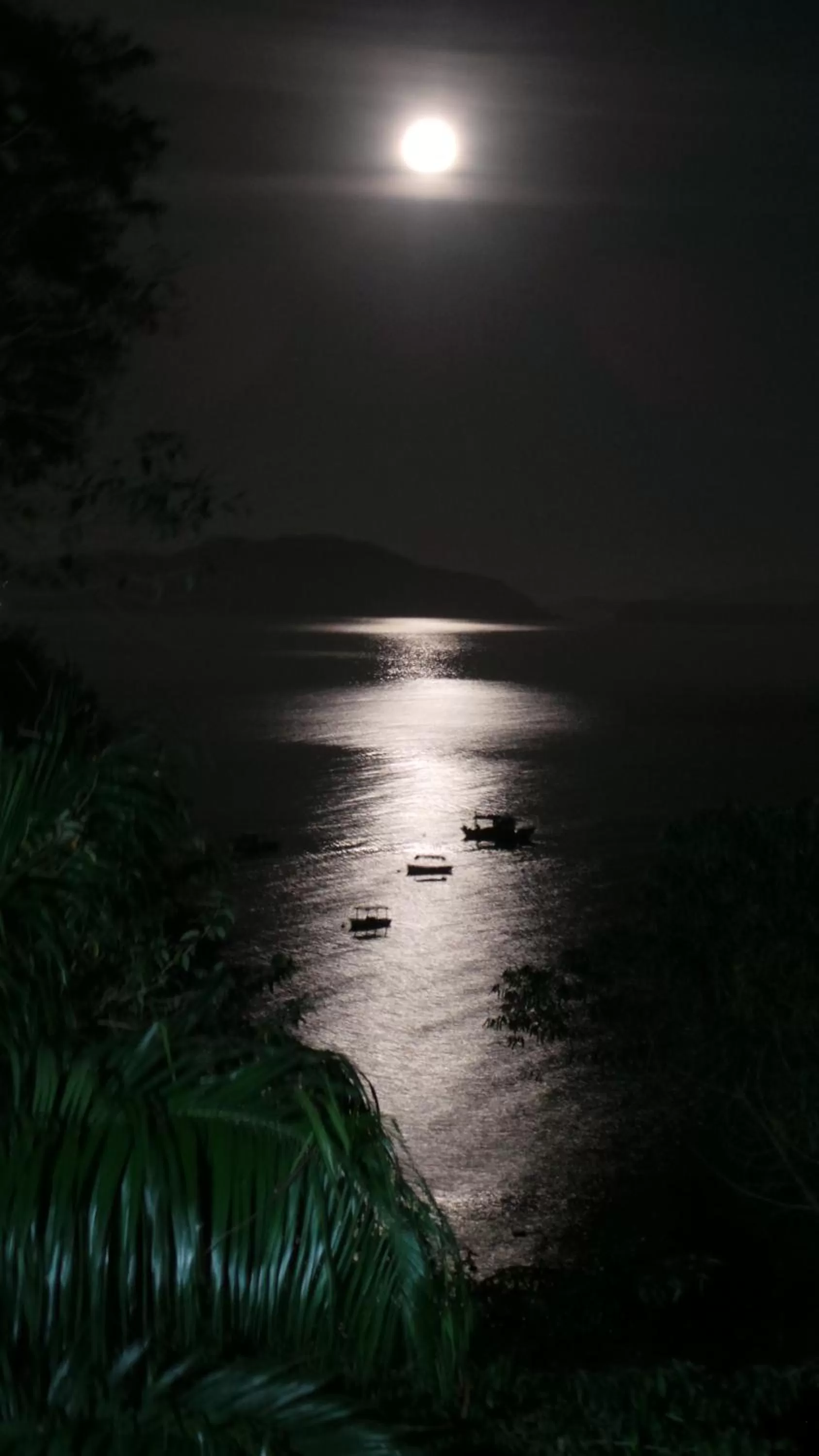 Balcony/Terrace in Ocean Green Flats