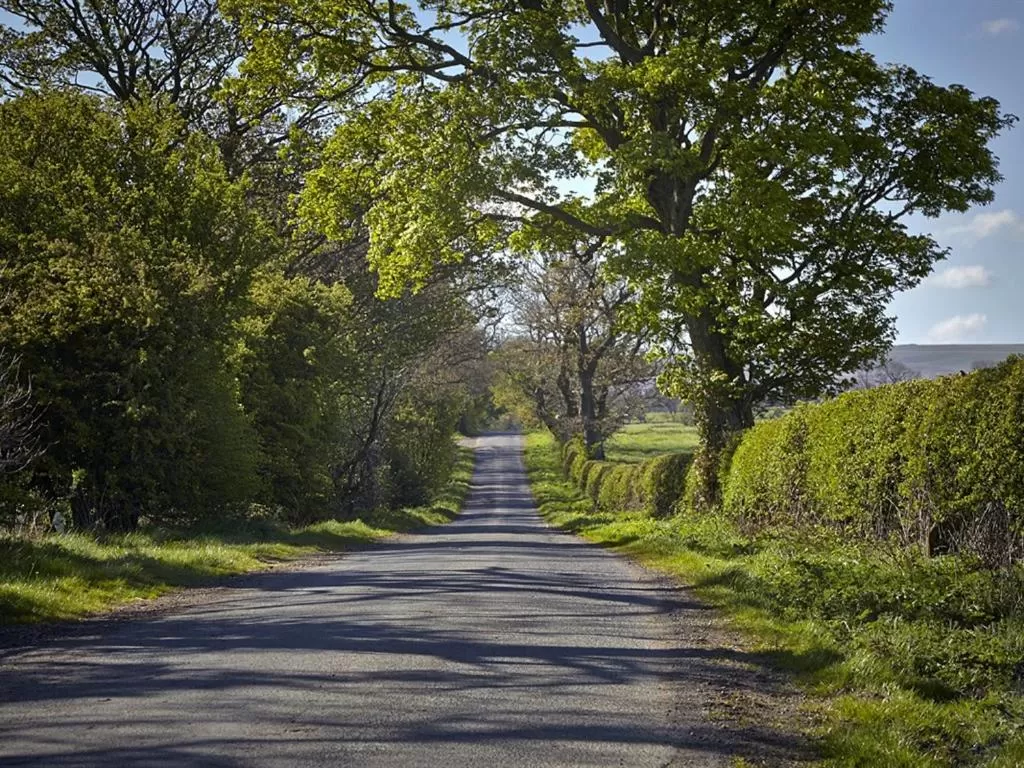Other in Lily Hill Farm
