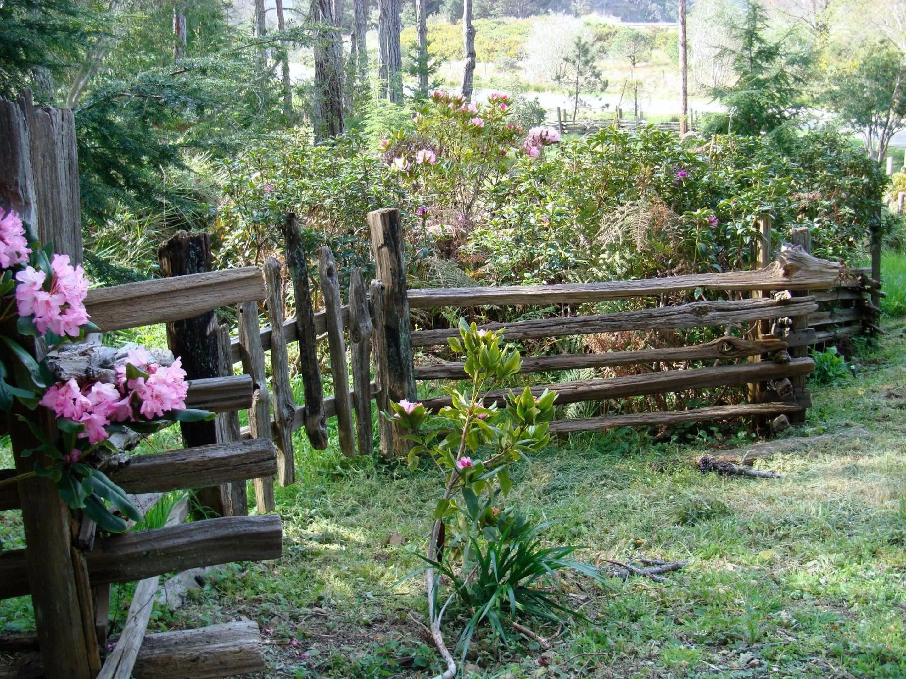 Garden in Brewery Gulch Inn & Spa