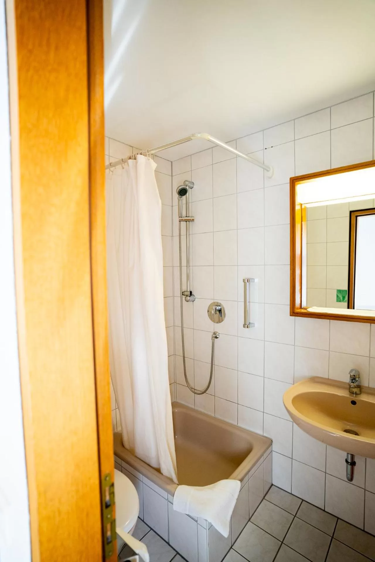 Bathroom in AP Hotel Viernheim am Kapellenberg