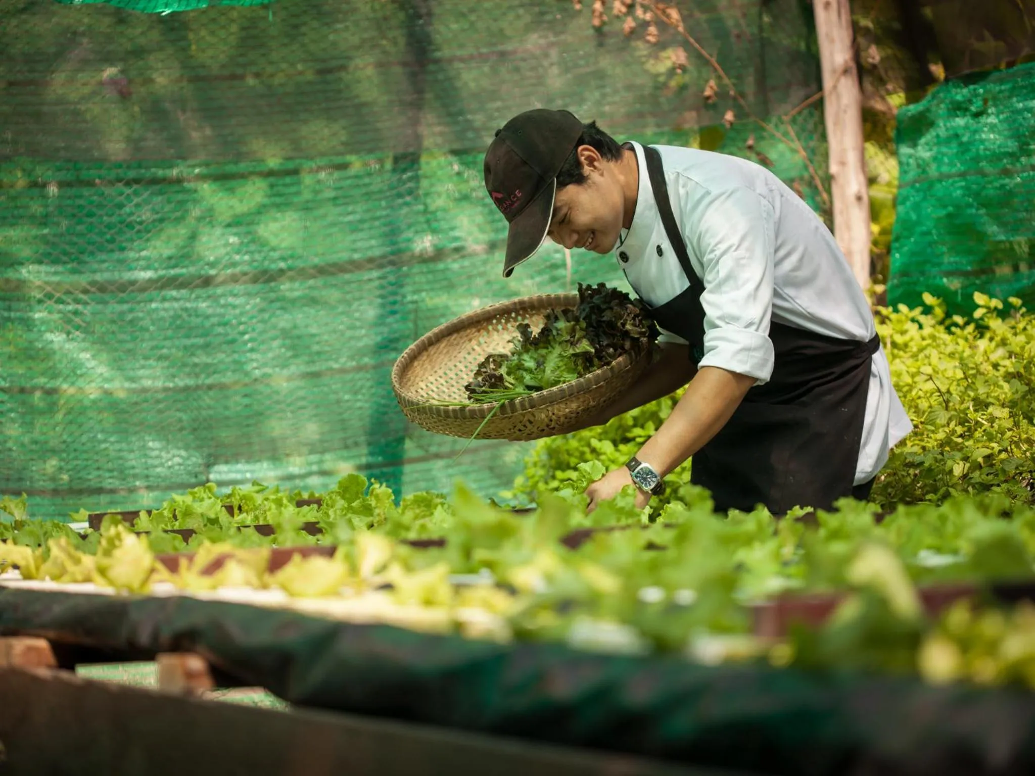 Garden in Sea Dance Resort