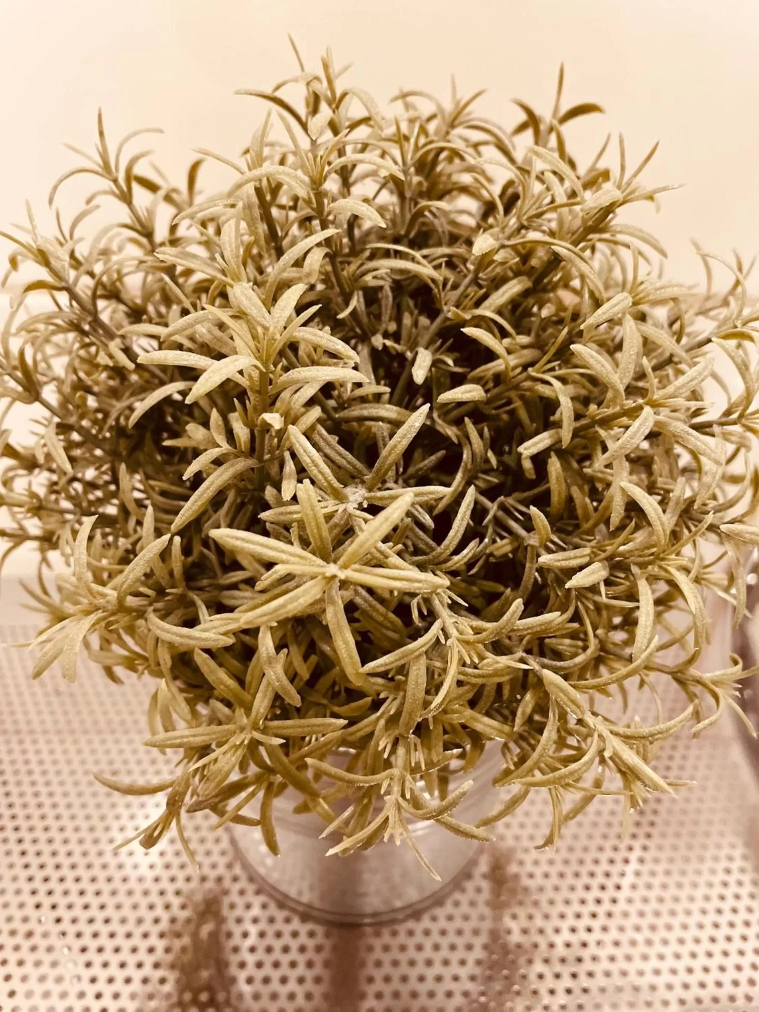 Decorative detail in Hotel Vilhelmine