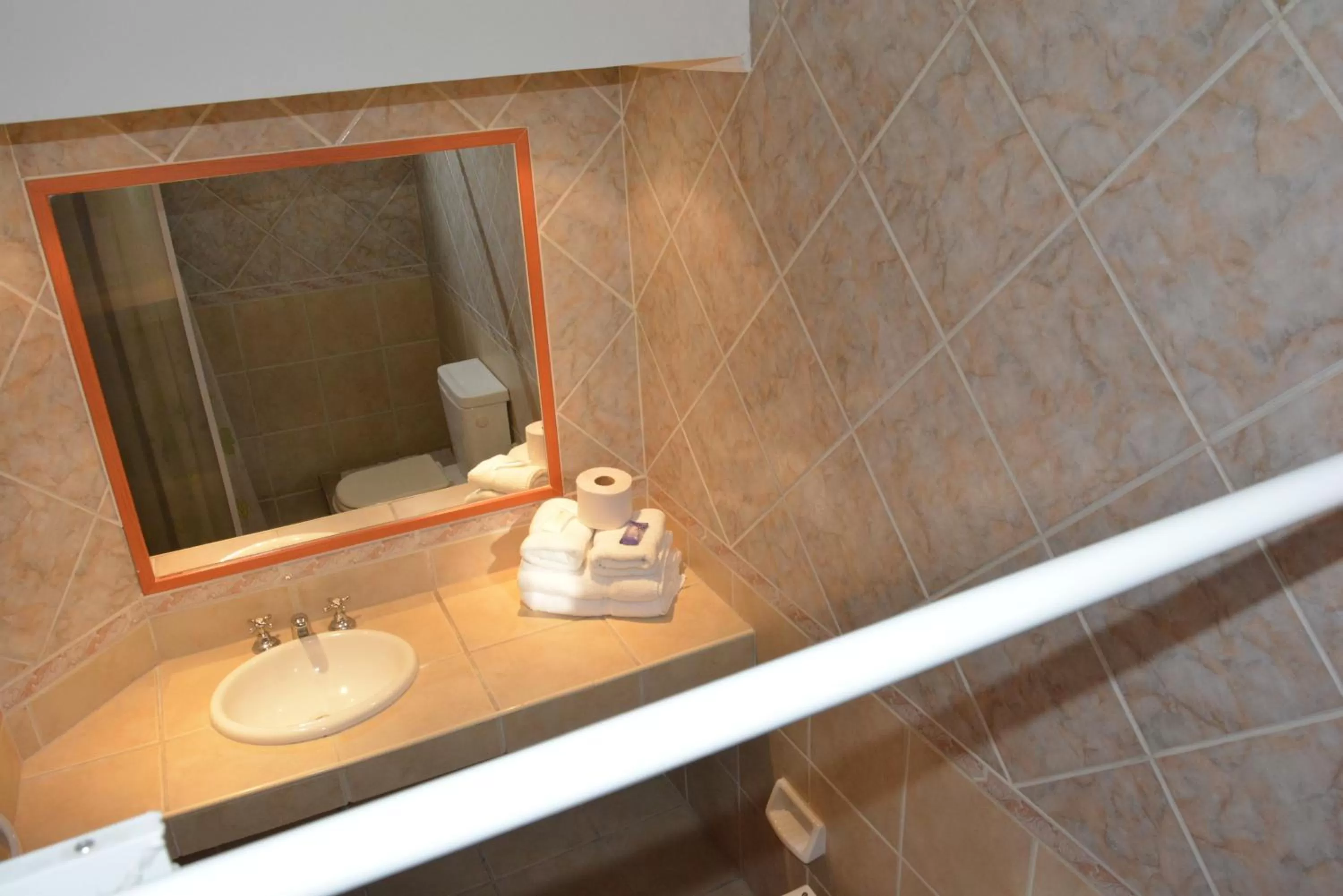 Decorative detail, Bathroom in Hotel ATEPSA