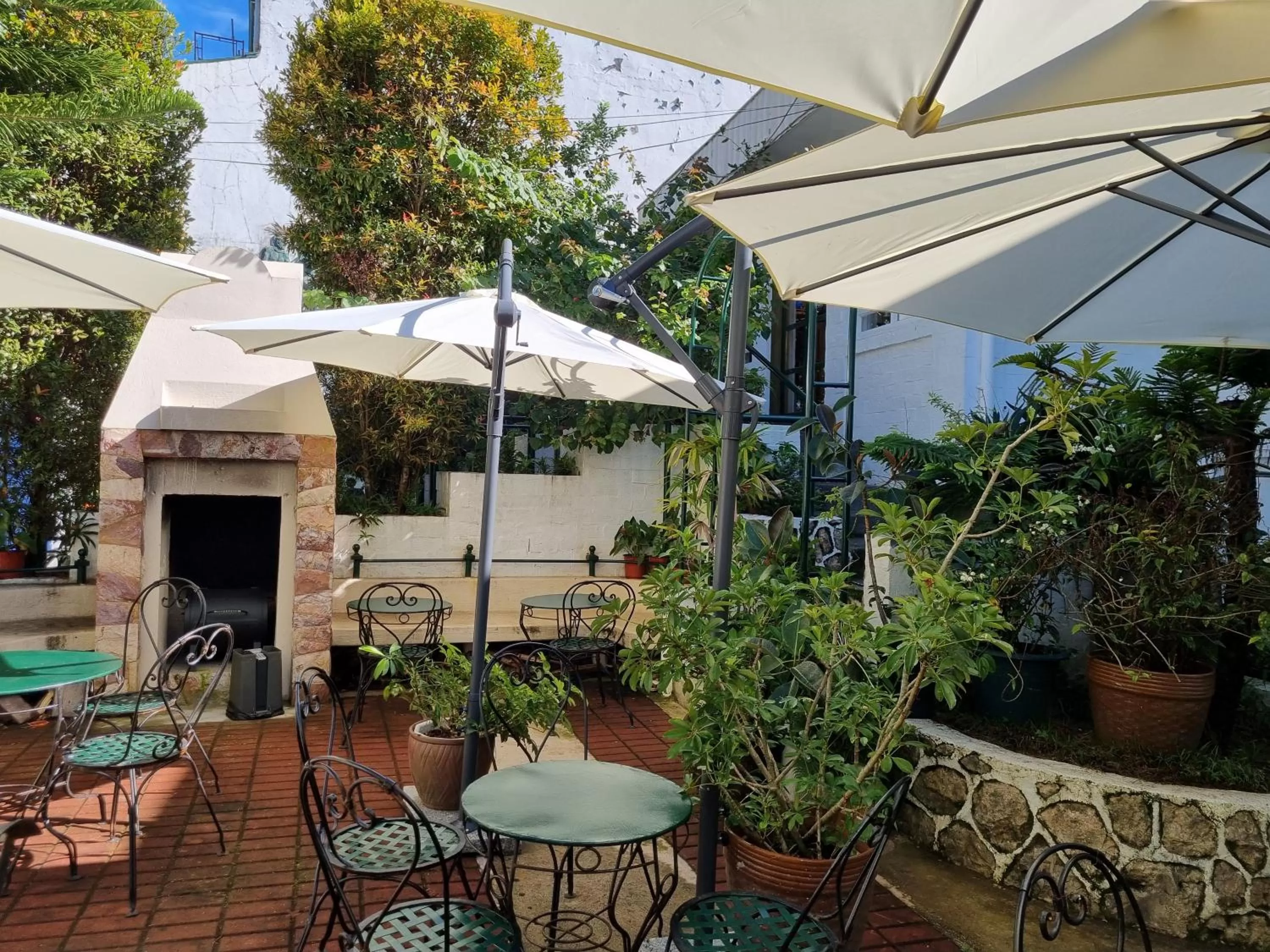 Garden in Guesthaven Baguio Bed and Breakfast