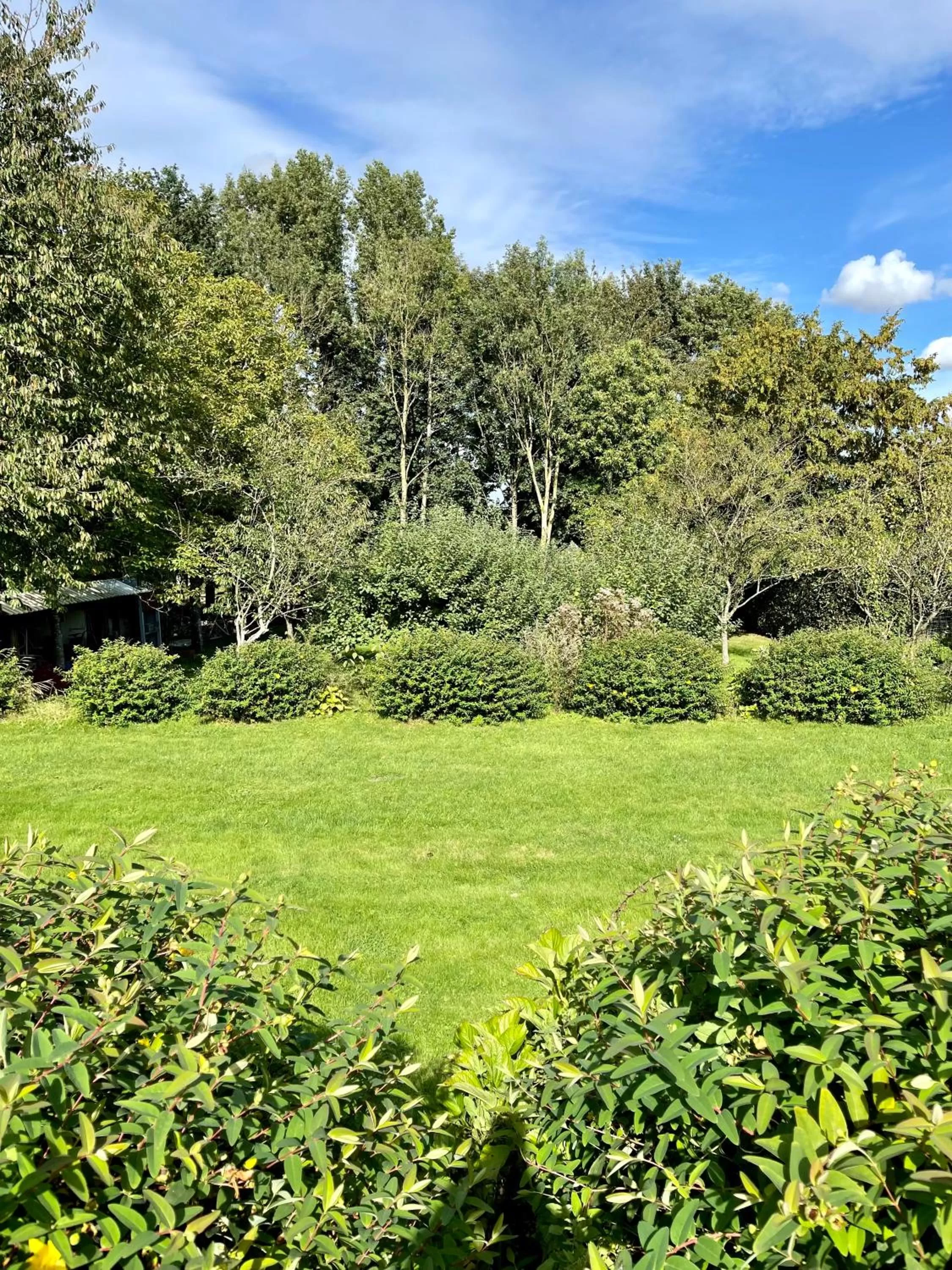 Garden in La Mésangeraie Gîte Chambres d'hôtes