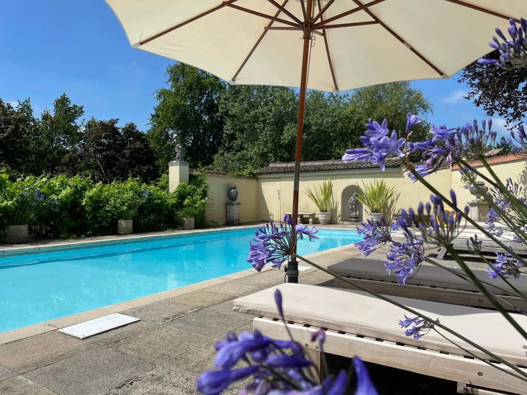 Swimming pool in Beryl Country House