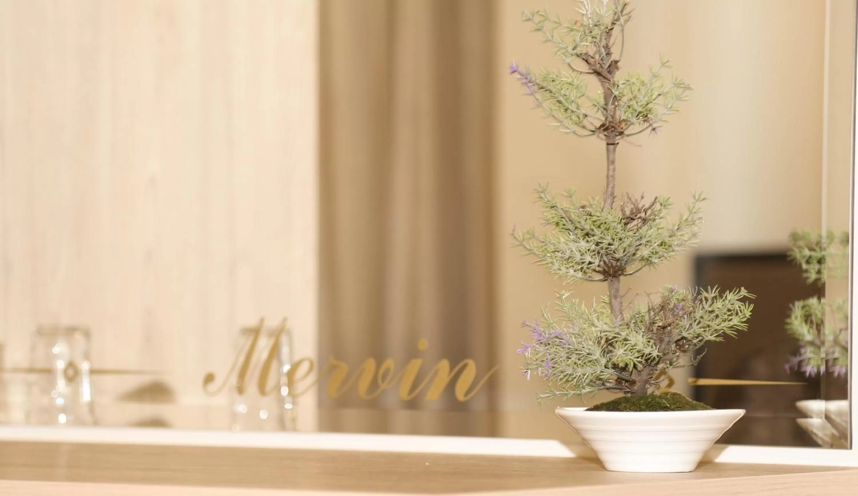 Decorative detail in Mervin Hotel