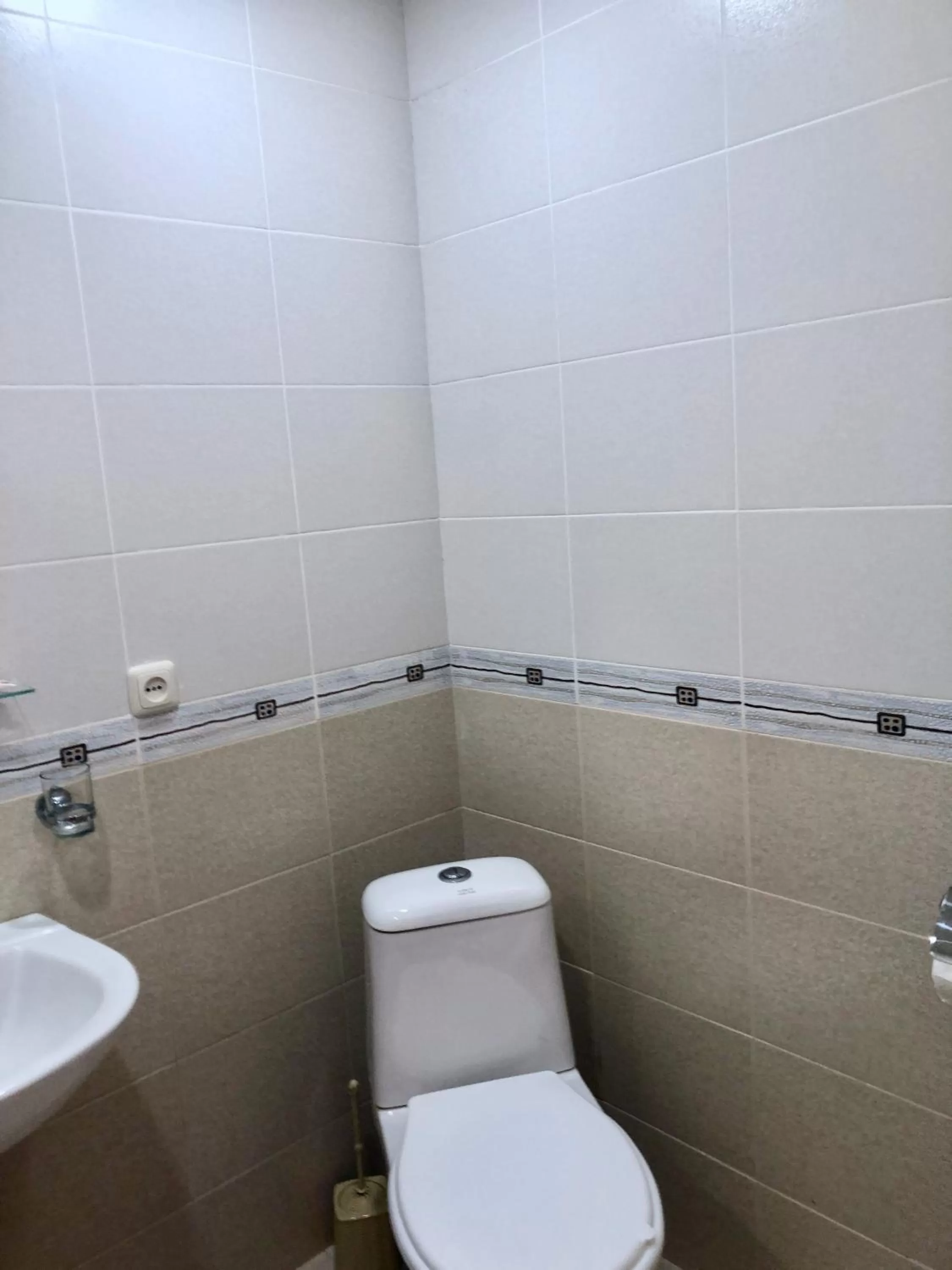 Toilet, Bathroom in Dil Hill by Sam