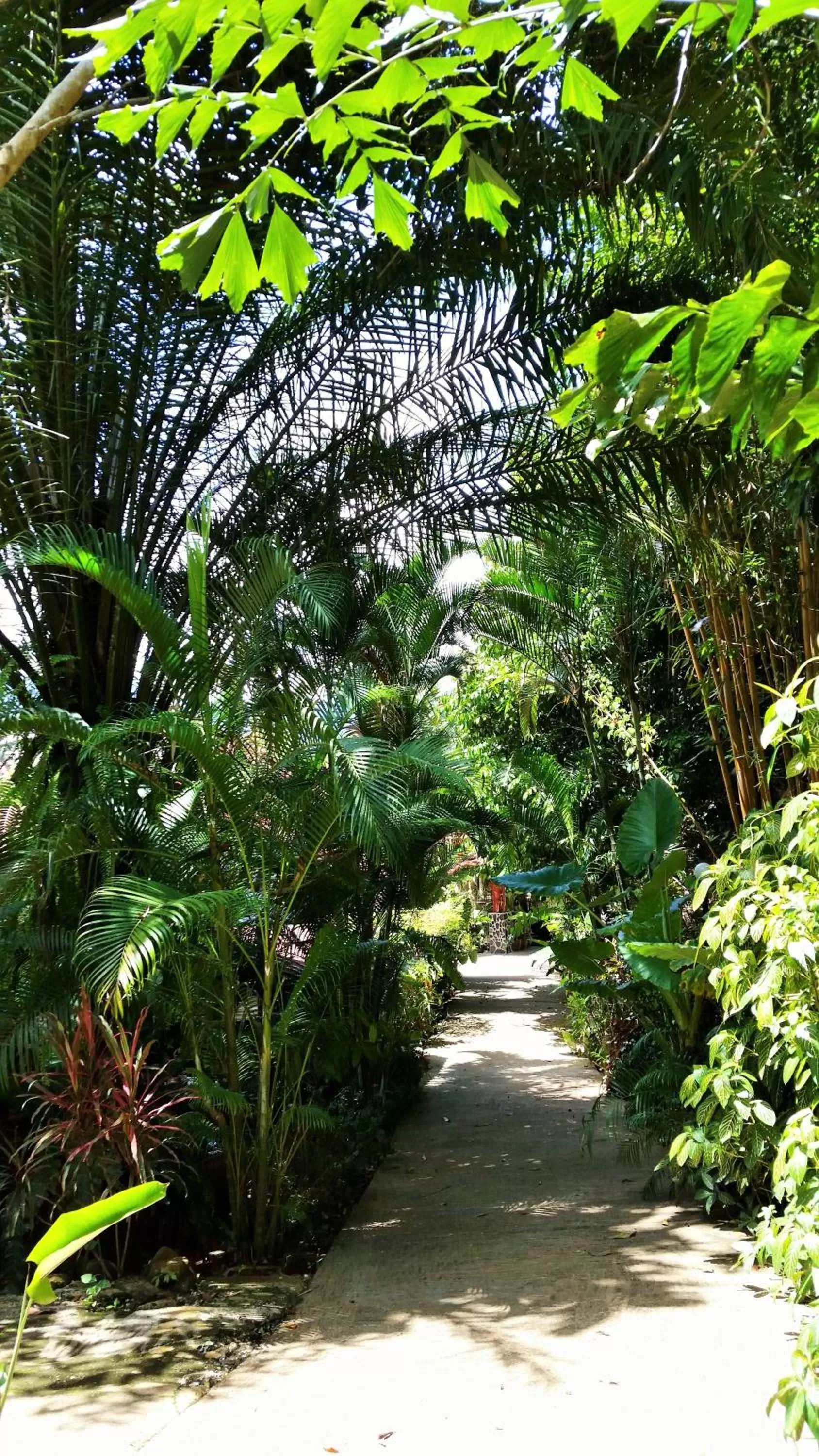 Facade/entrance in Khao Sok Las Orquideas Resort