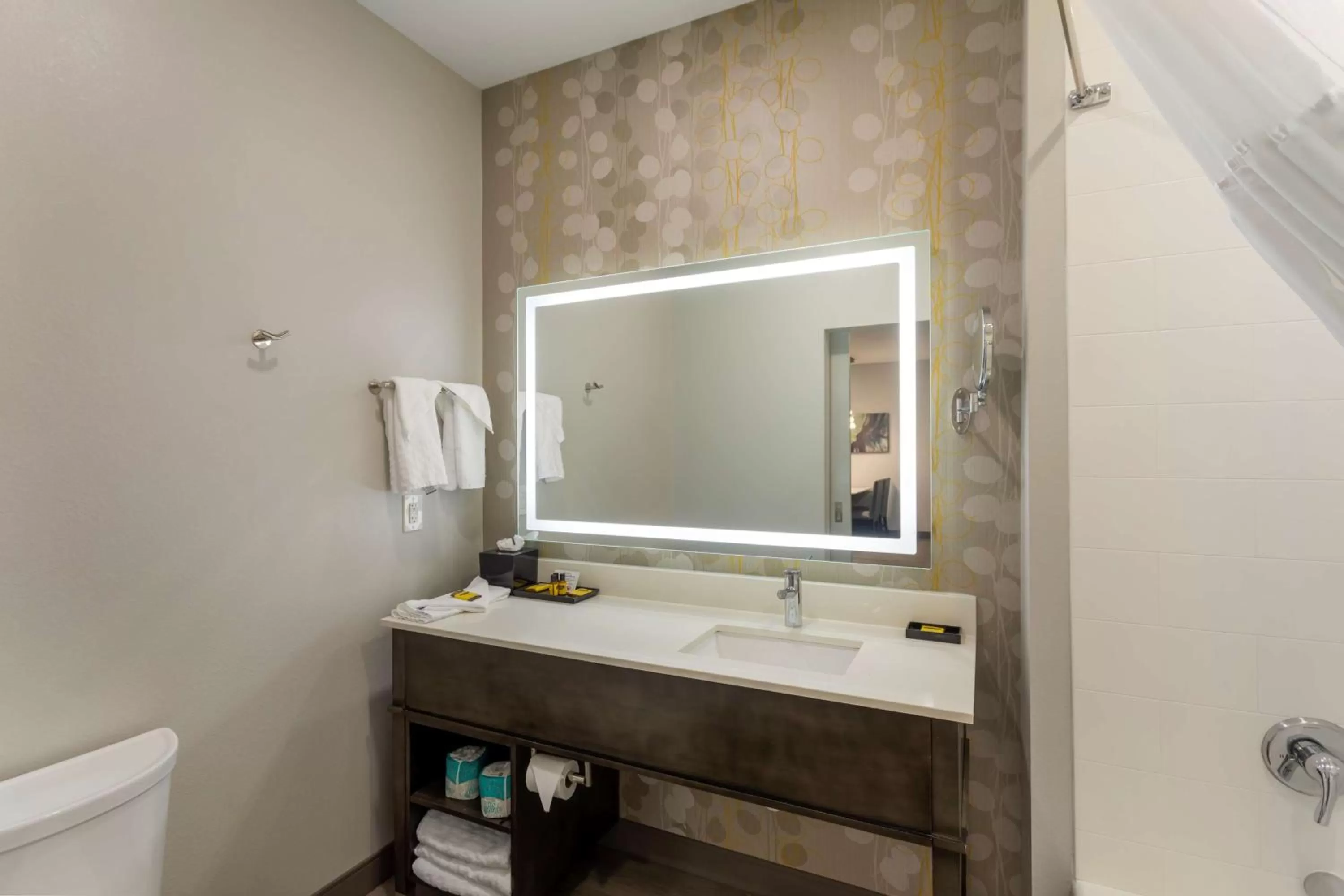 Bathroom in Best Western Plus Executive Residency Nashville Antioch