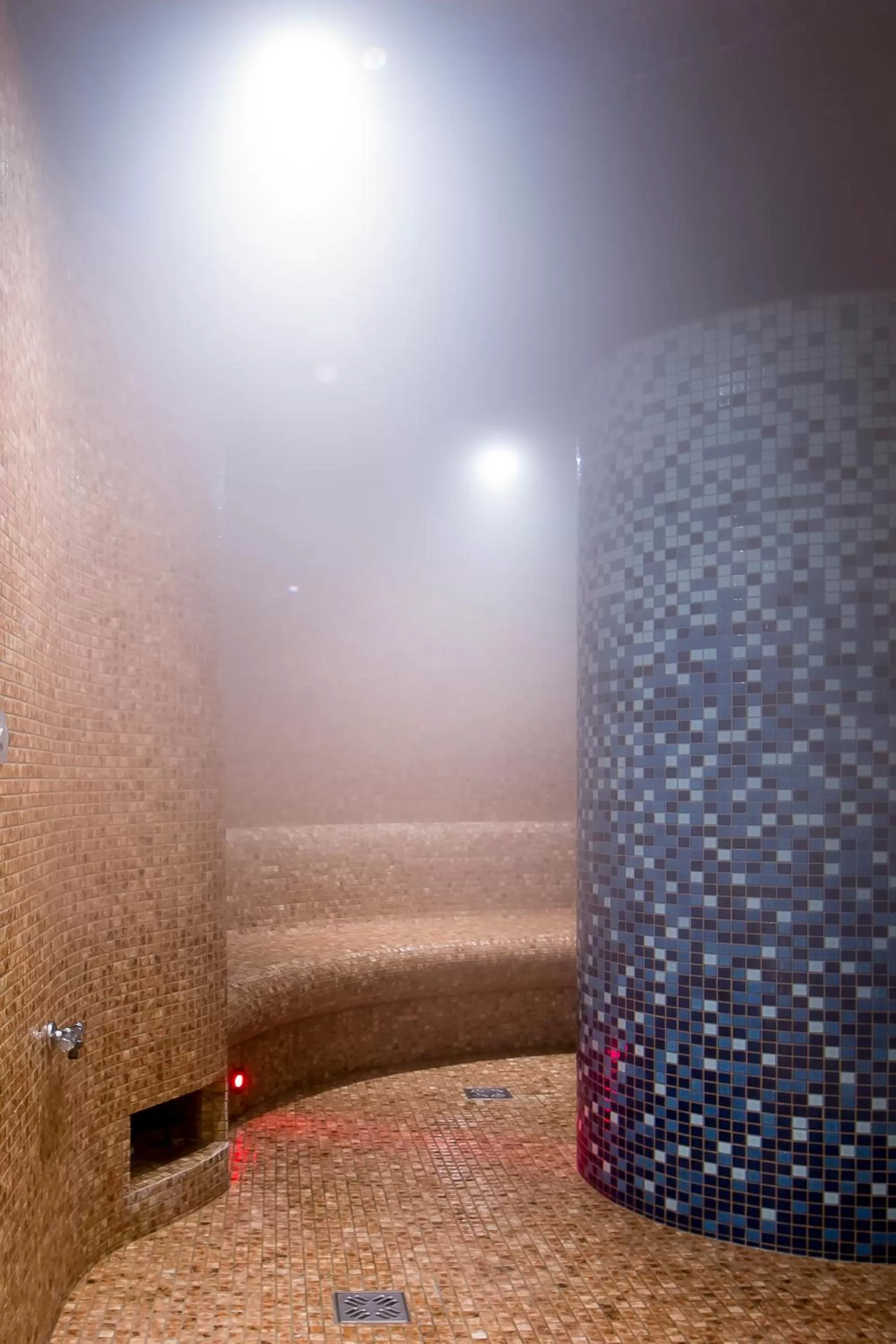 Swimming pool in Hotel Król Kazimierz