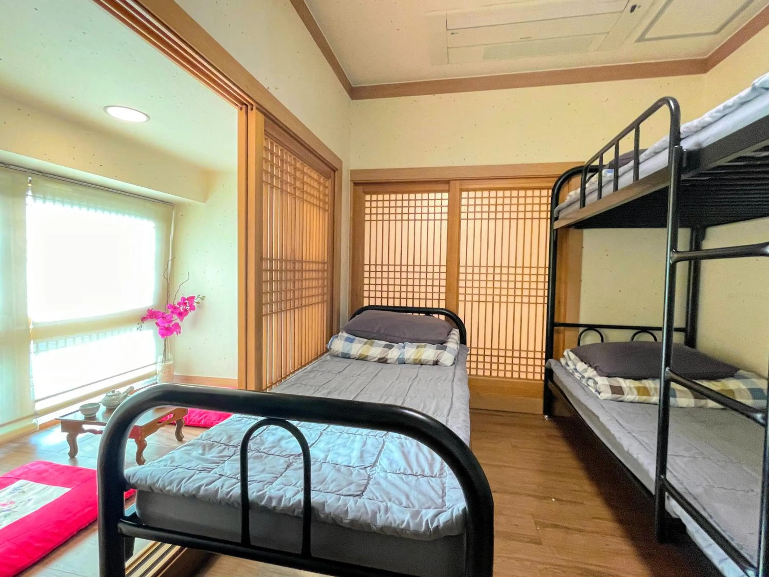 Area and facilities, Bed in Cocoa Guesthouse