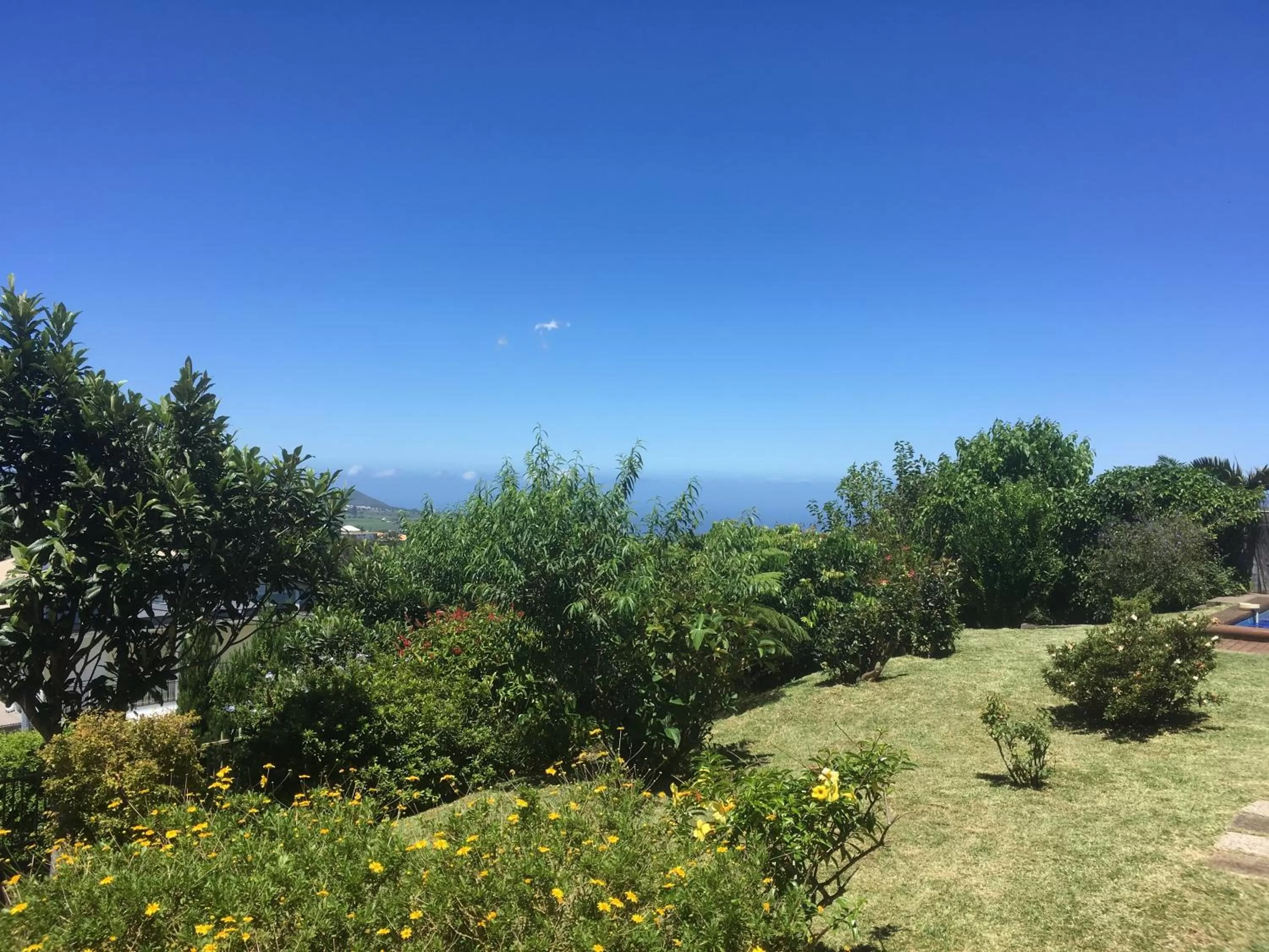 Garden in Caloupilé