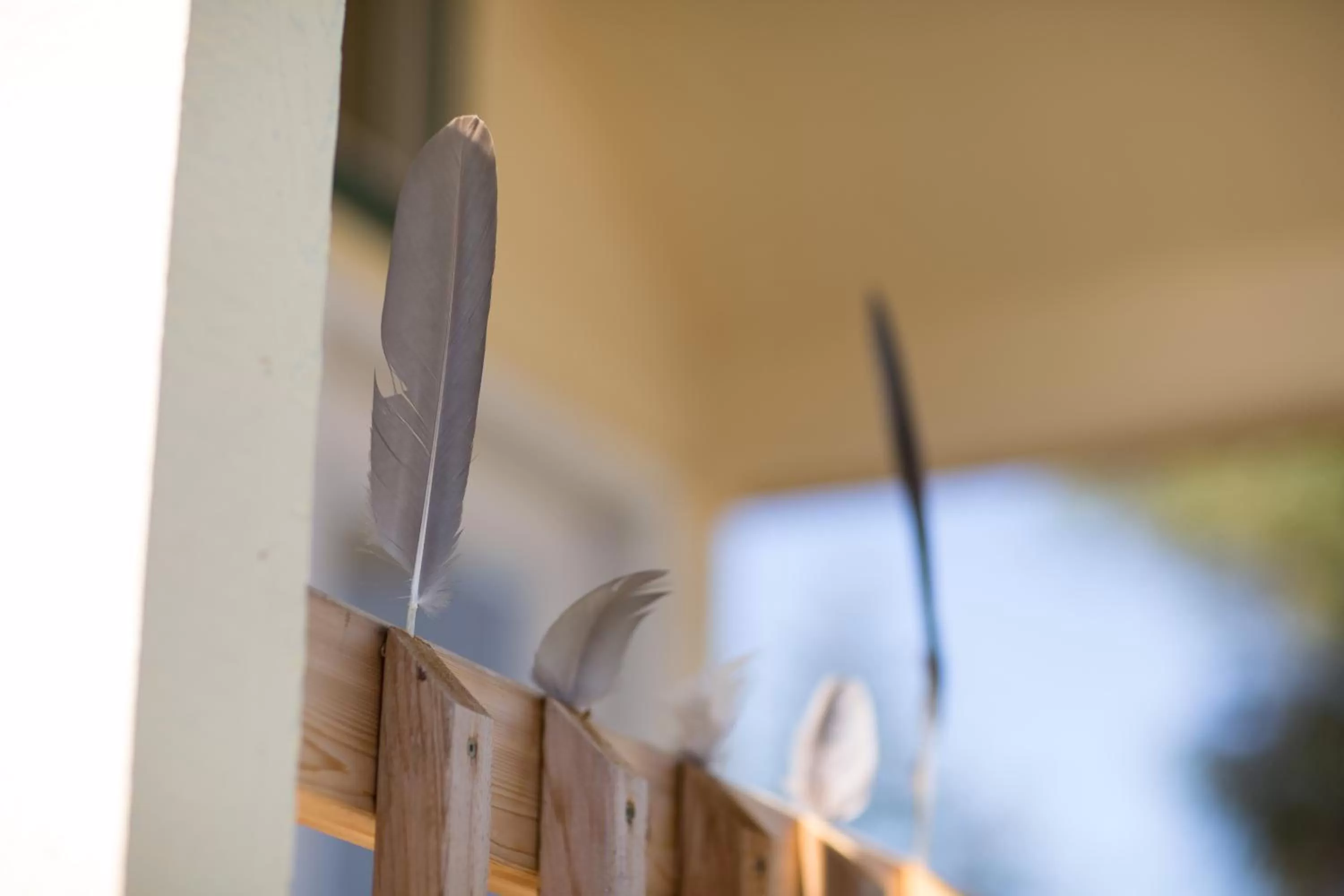 Decorative detail, Spa/Wellness in Sheltered Nook On Tillamook Bay
