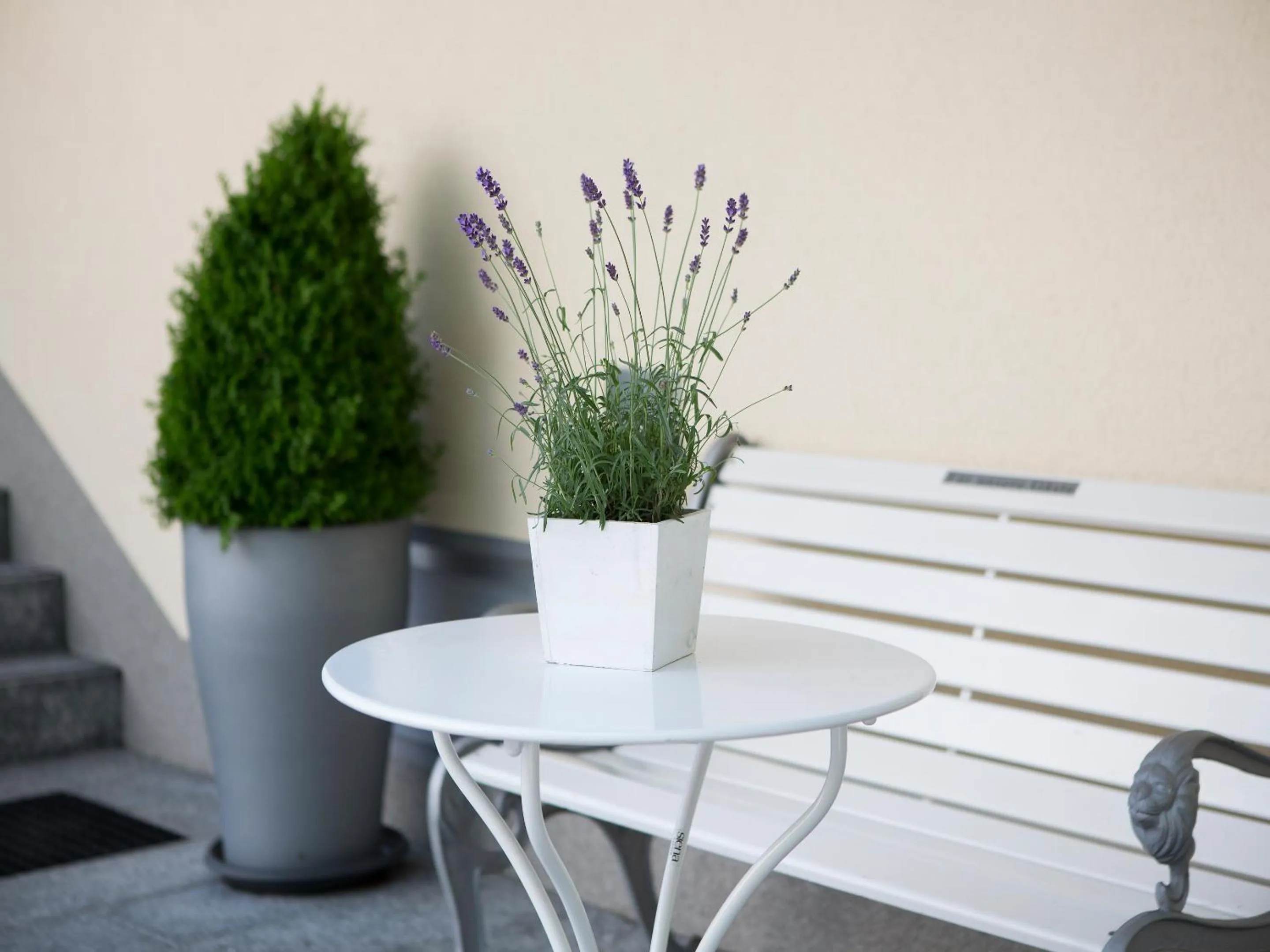 Patio in Hotel Kriemhild am Hirschgarten