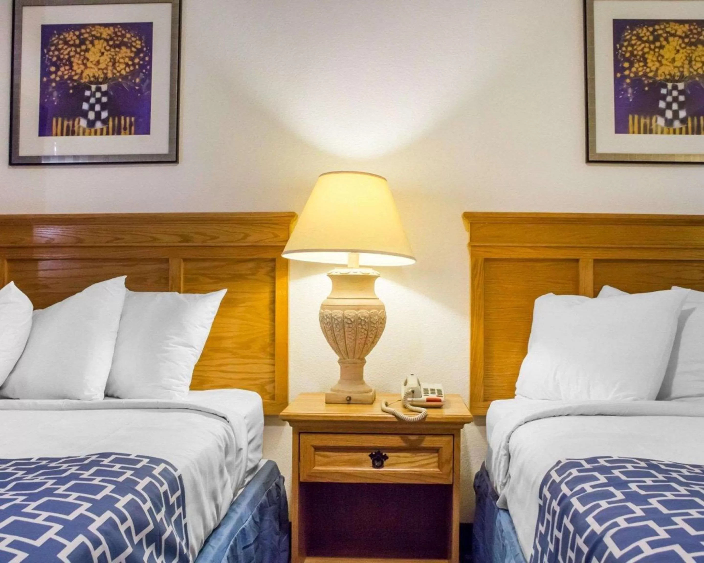 Photo of the whole room, Bed in Rodeway Inn Old Town Scottsdale