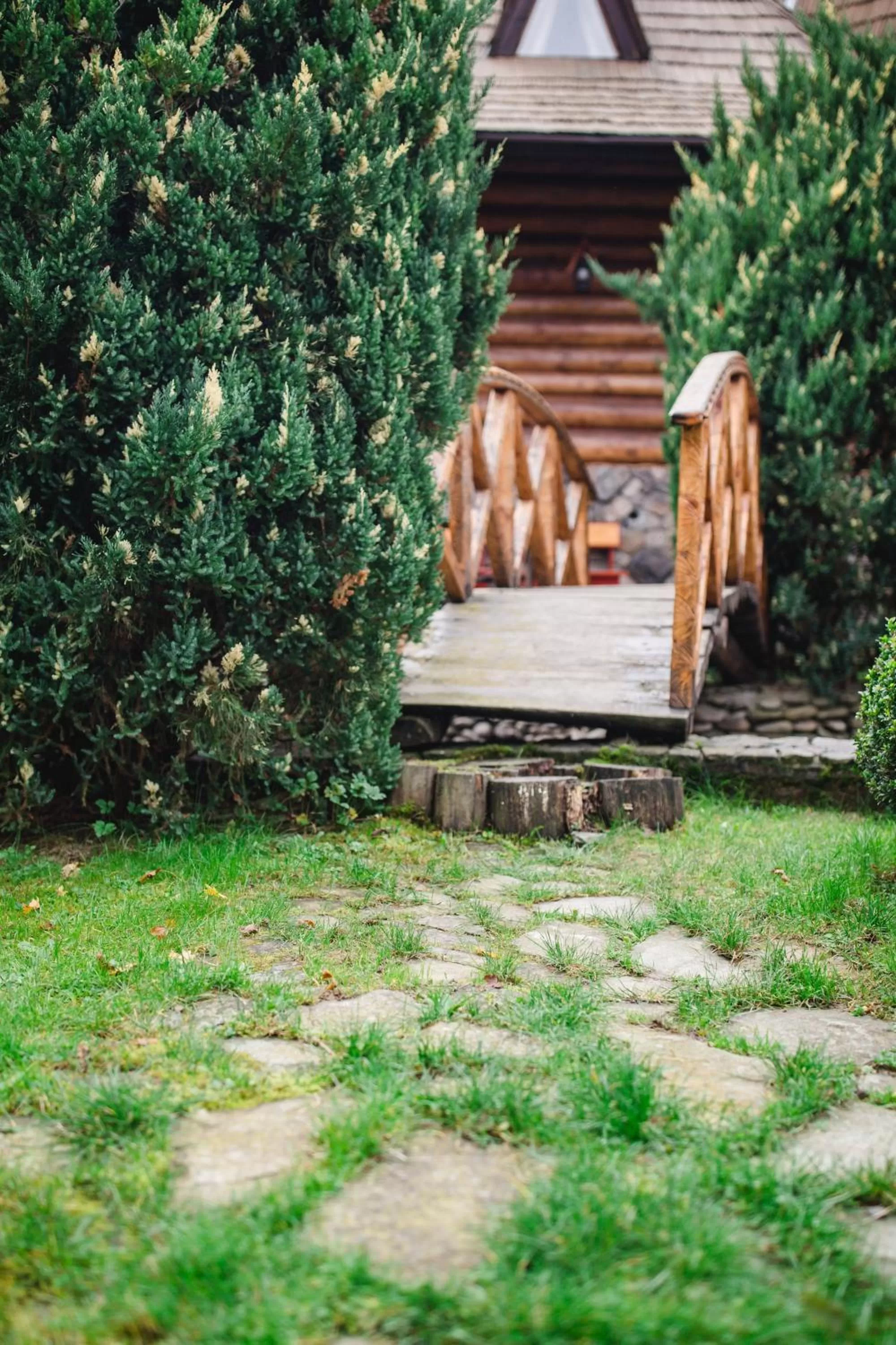 Garden in Kolyba Opryshkiv
