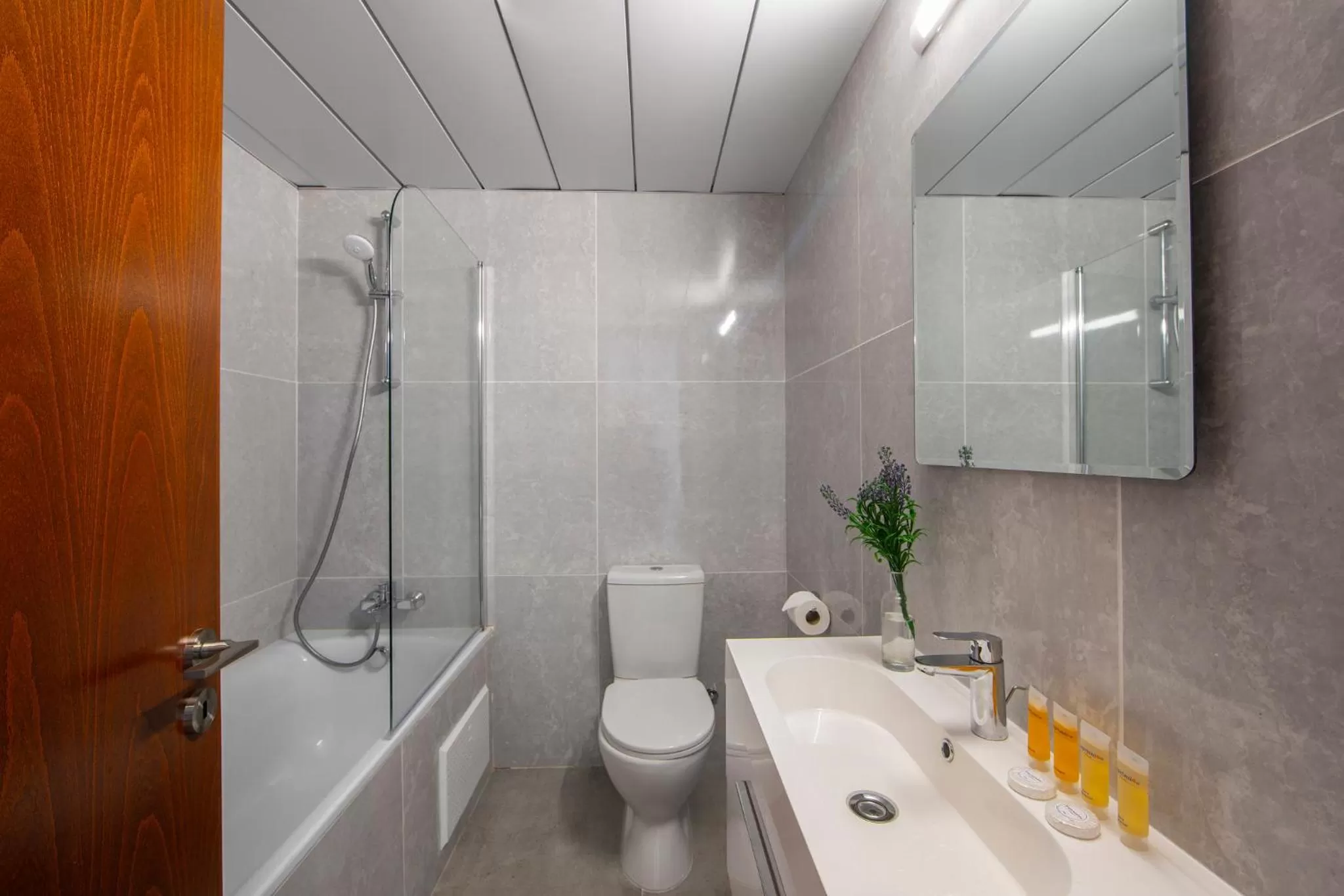 Superior Double or Twin Room (2 Adults + 1 Child) in Kapetanios Limassol Hotel