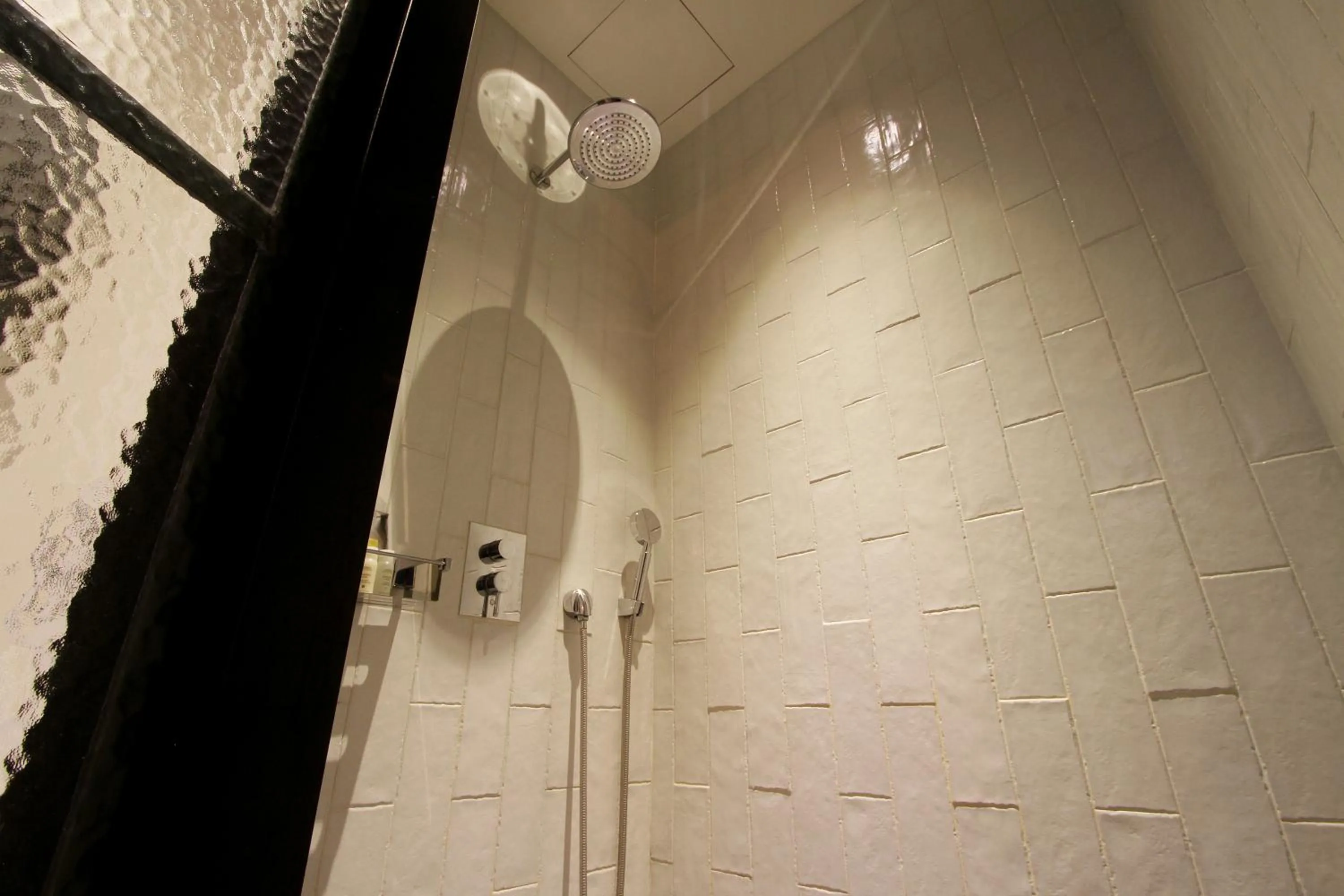 Shower in Boutique Hotel Loft