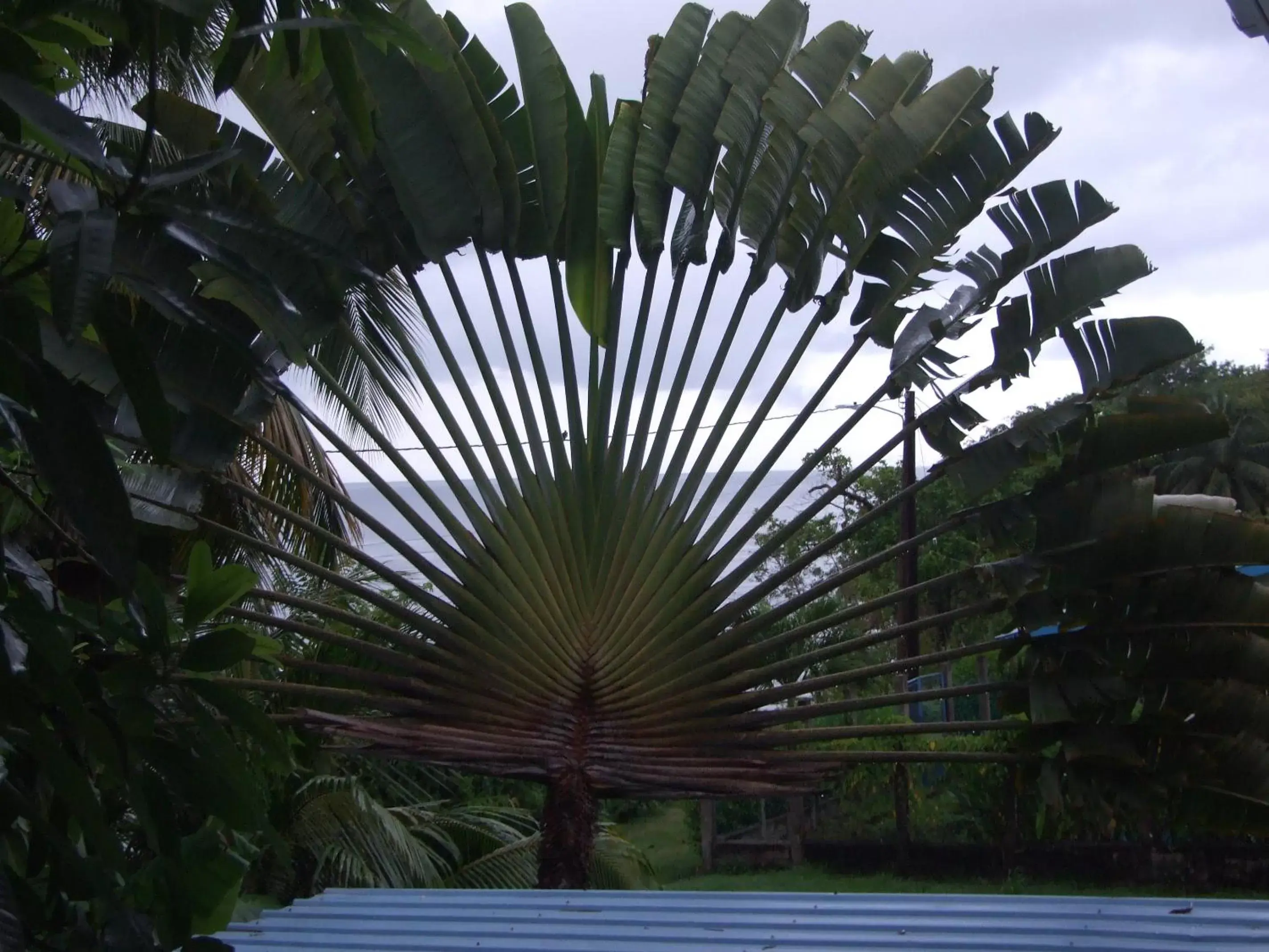 Apartment in BlueBelize B&B Apartment in BlueBelize B&B