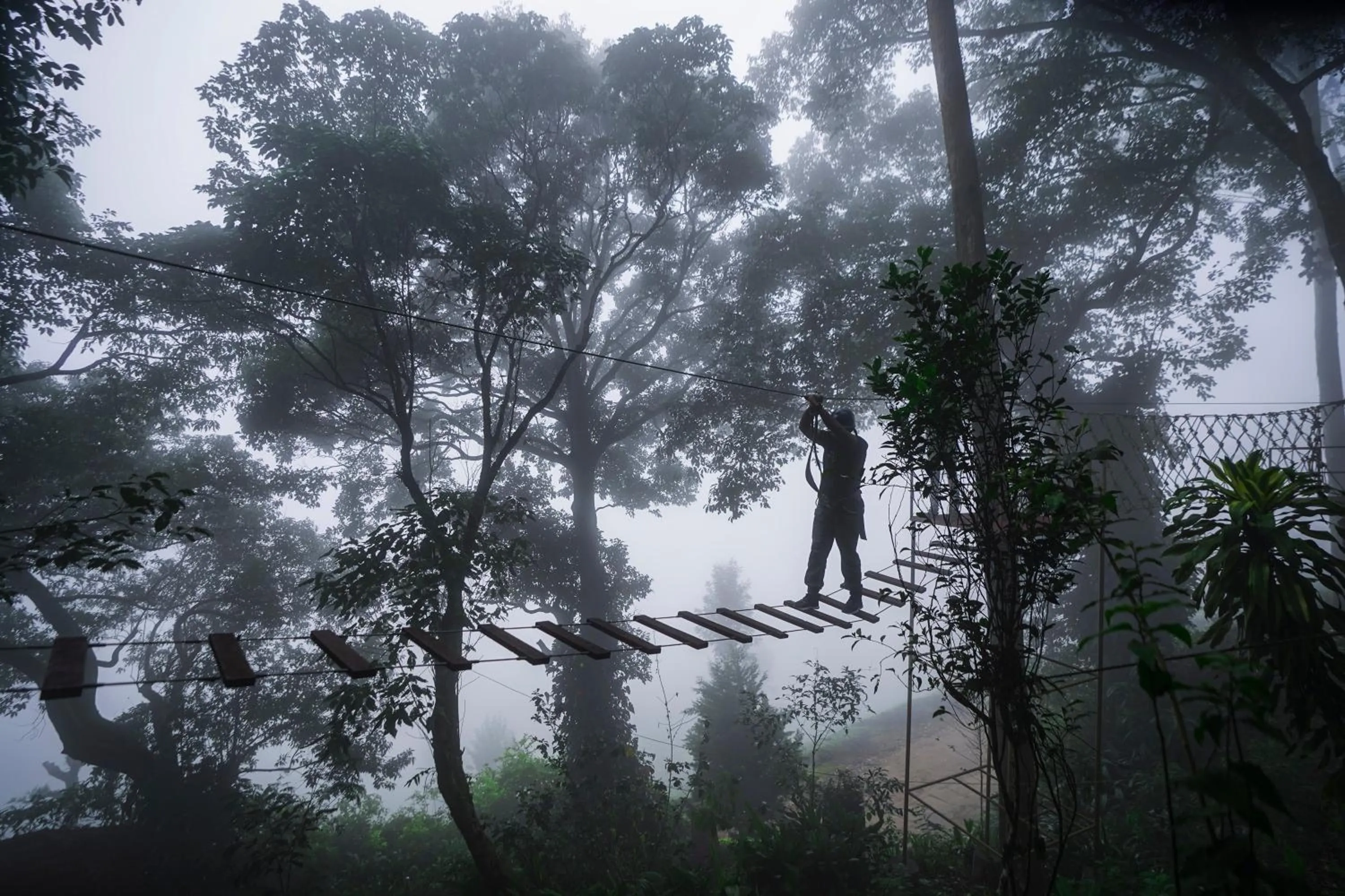 Activities in Tea Valley Resort, Munnar