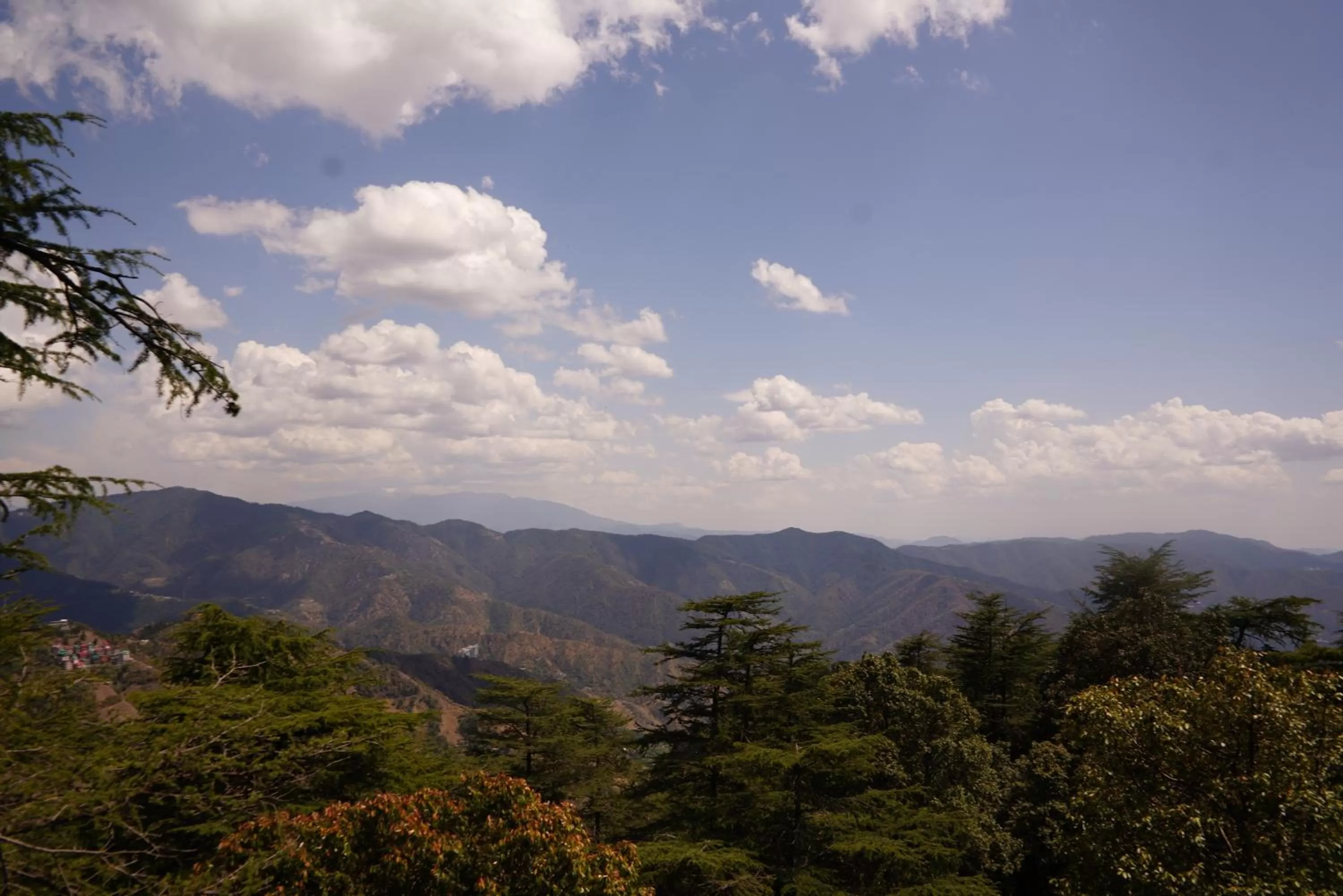 View (from property/room) in Jakhu Vibes