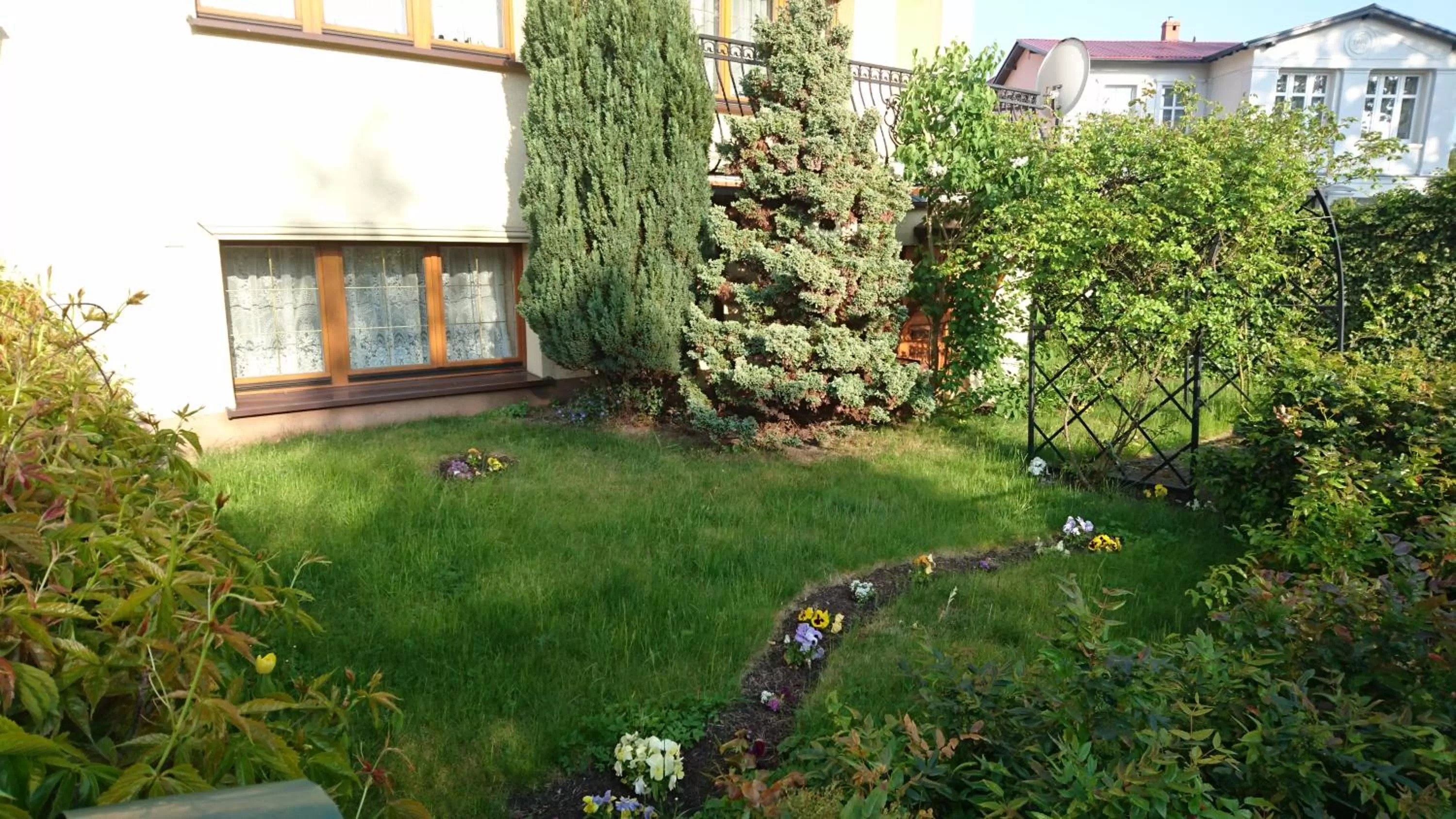 Garden in Willa Drako