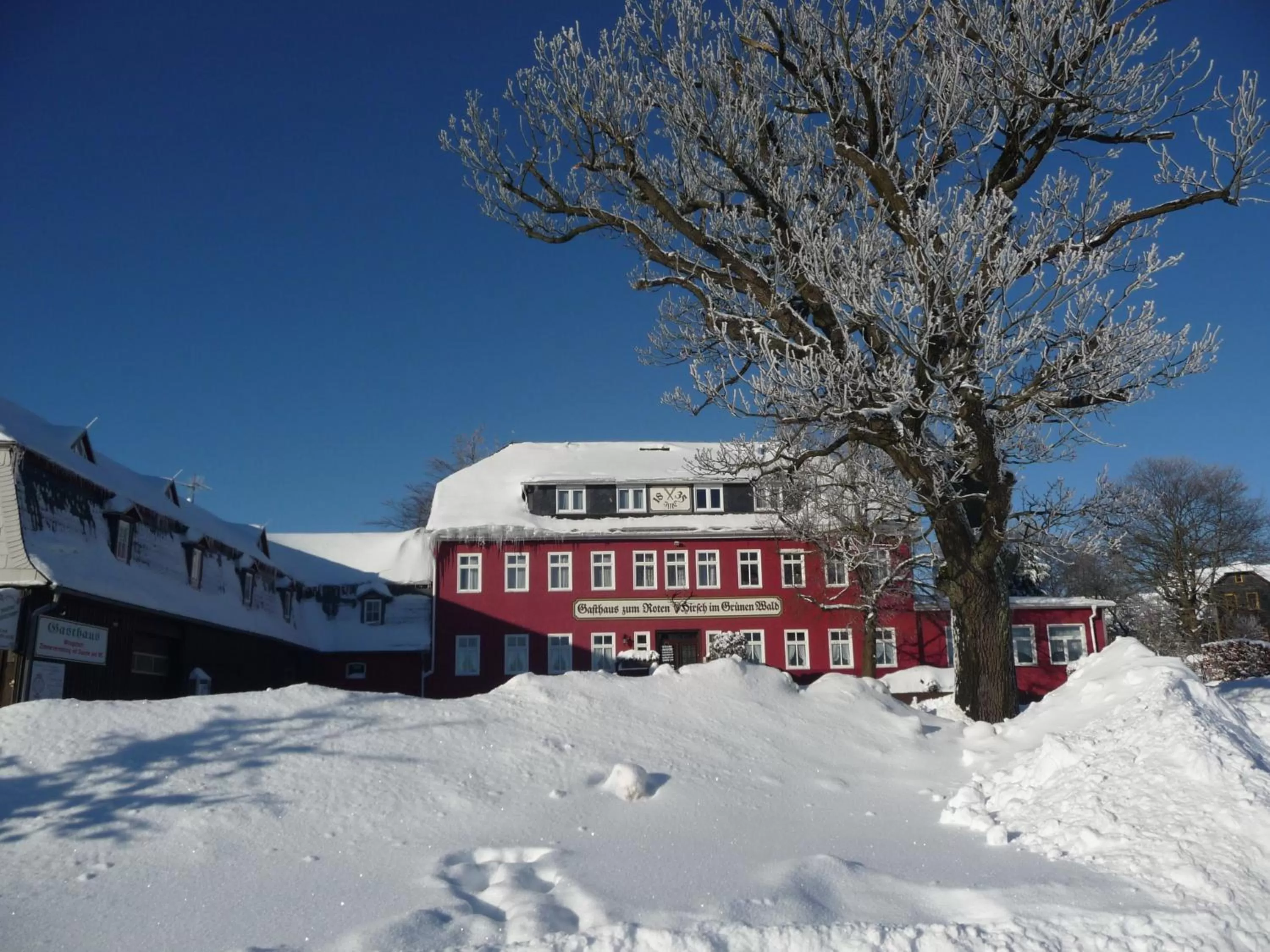 Facade/entrance, Winter in Zum Roten Hirsch im Grünen Wald